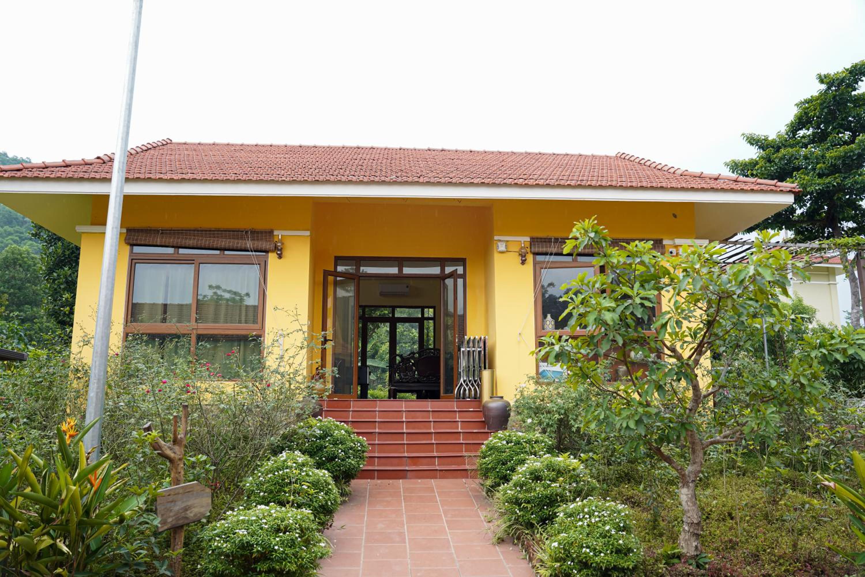 Photo 12