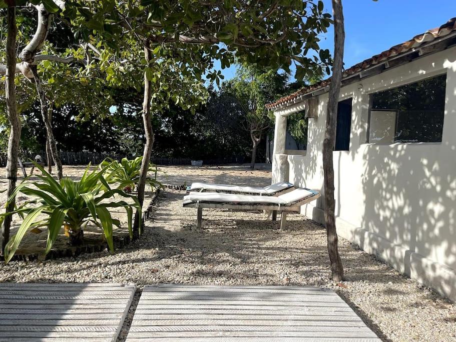 TATAJUBA-Casa-de-loulous
