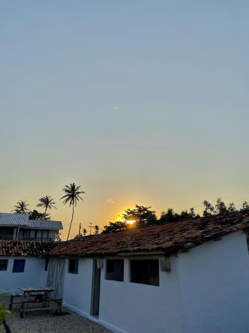 TATAJUBA-Casa-de-loulous