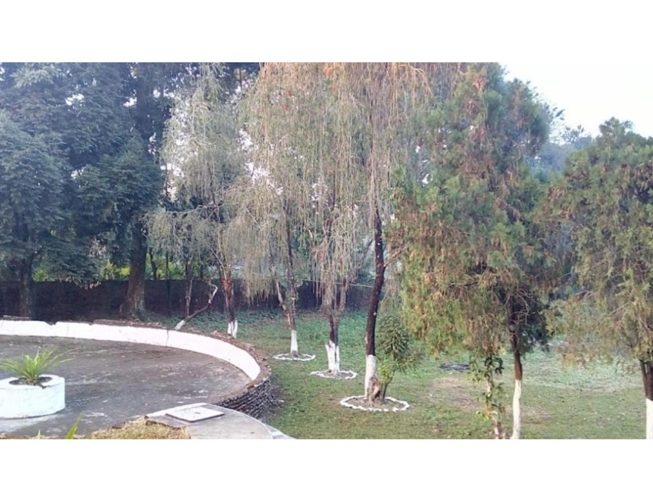 Photo 19