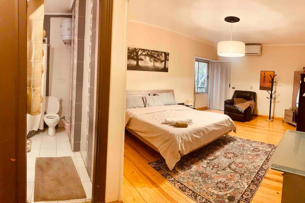 Modern Vibrant Living (Heart of Maadi Degla)