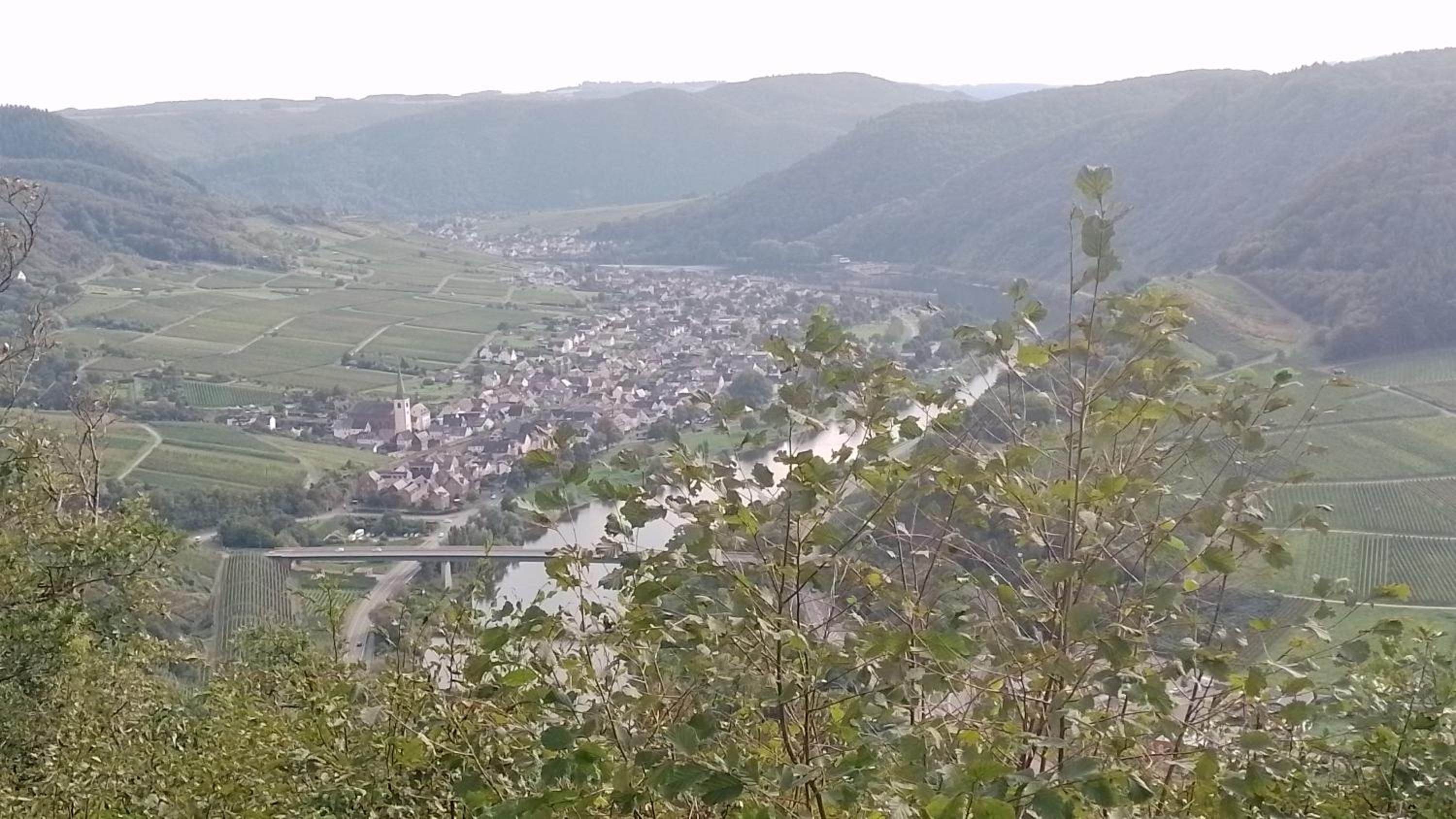 Ferienwohnungen Am Bruttiger Moselsteig
