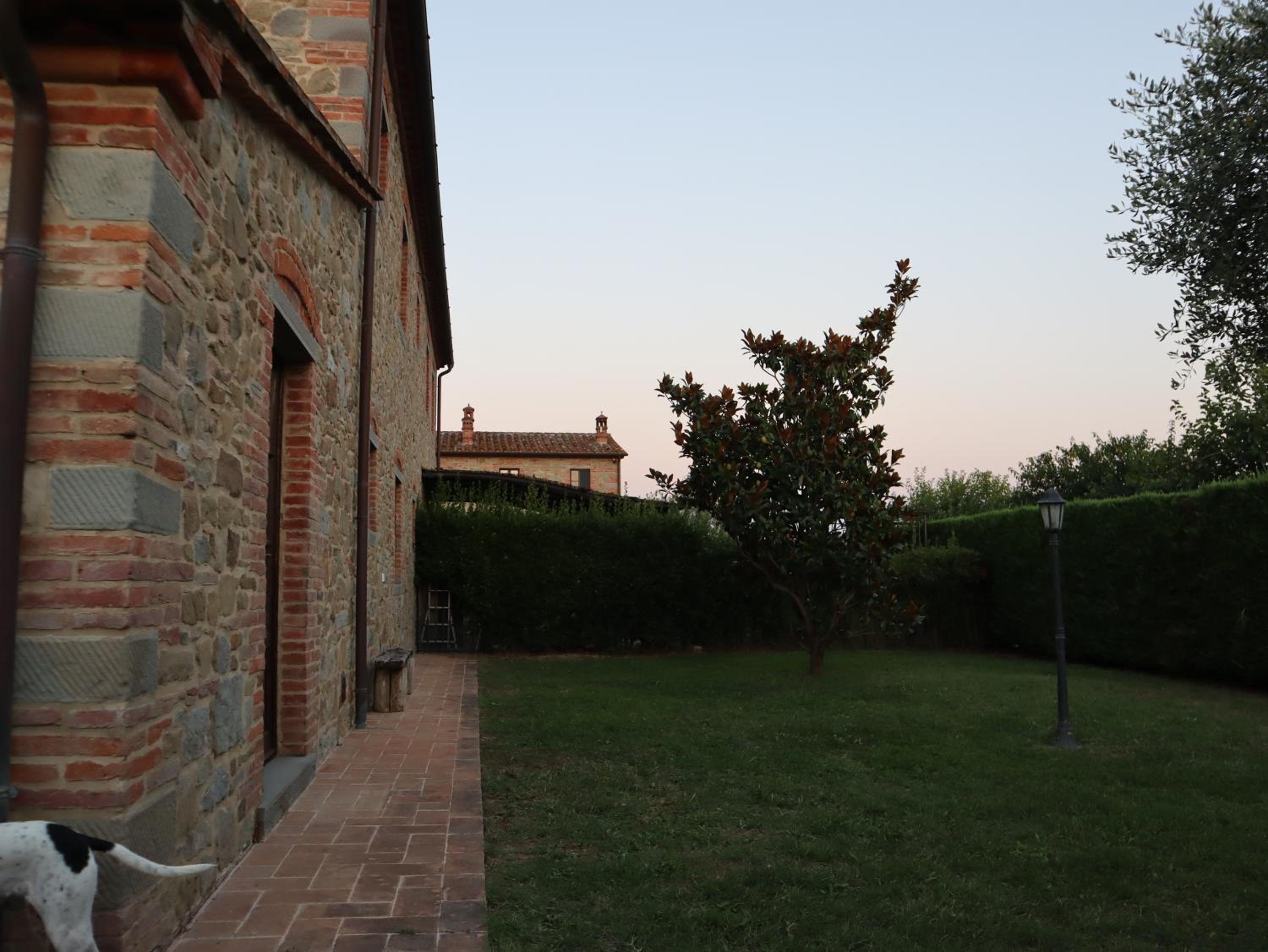 Photo 25