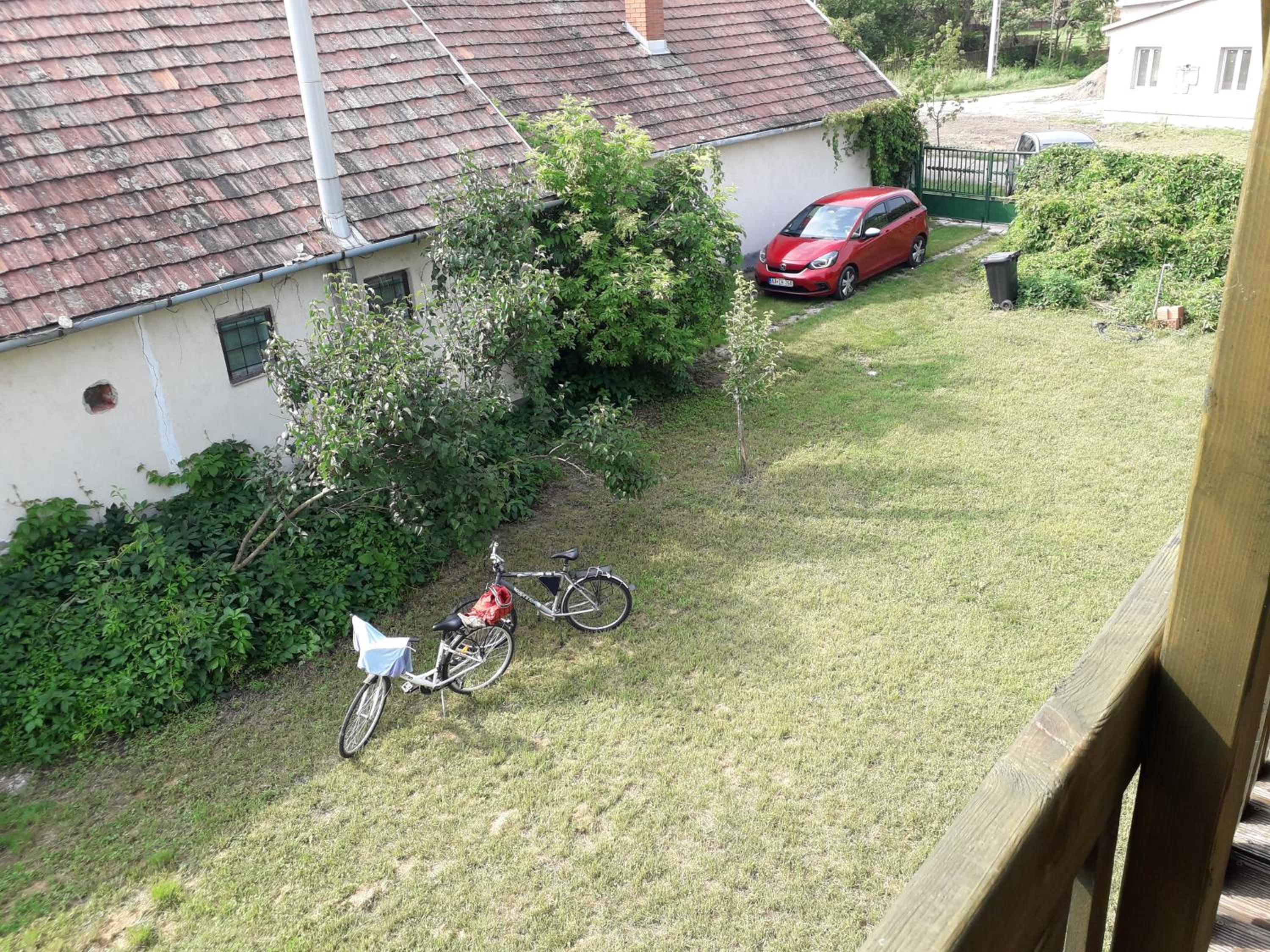 Photo 10