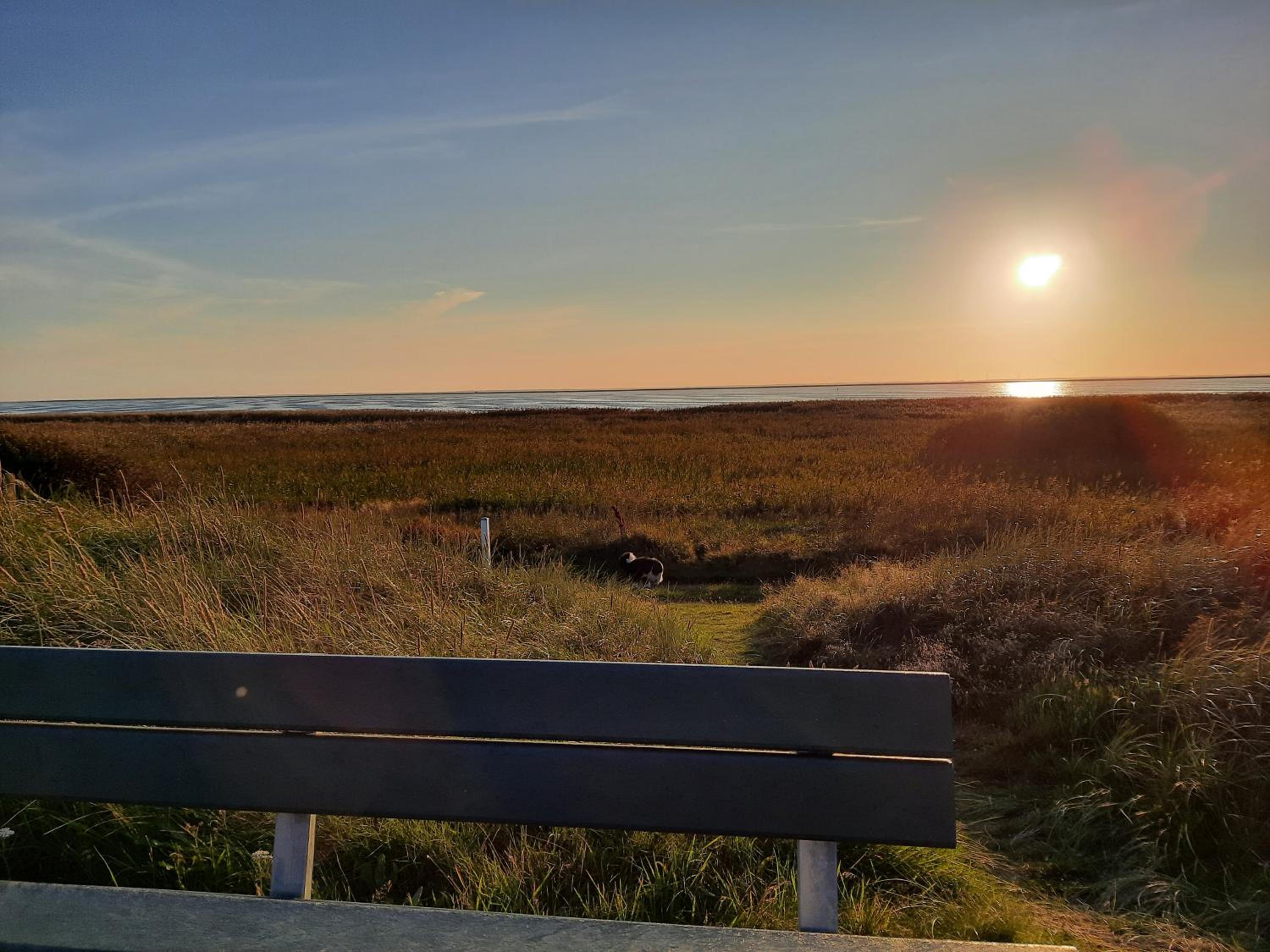 Ringkøbing Fjord B&B