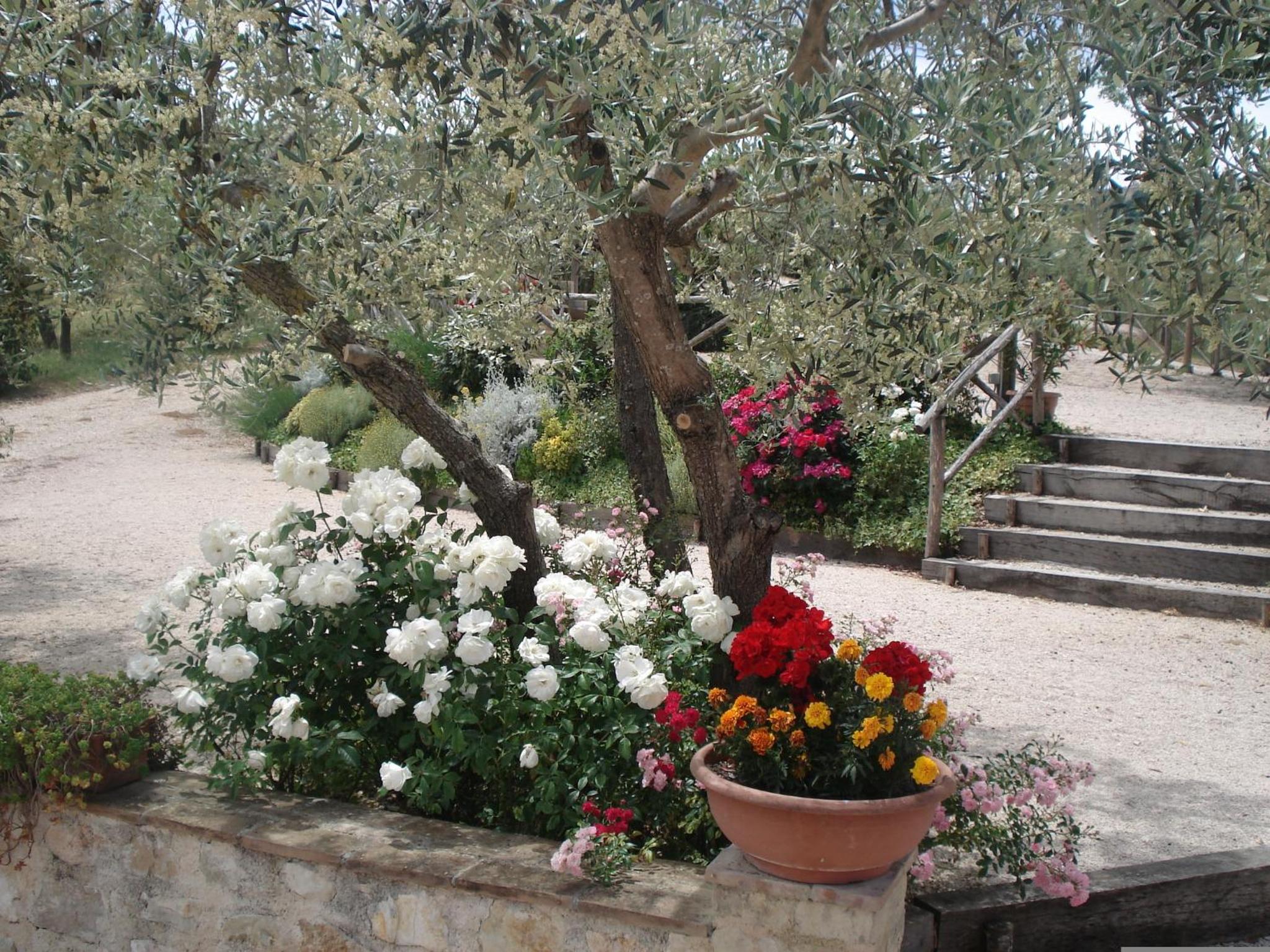 Tenuta Colverano