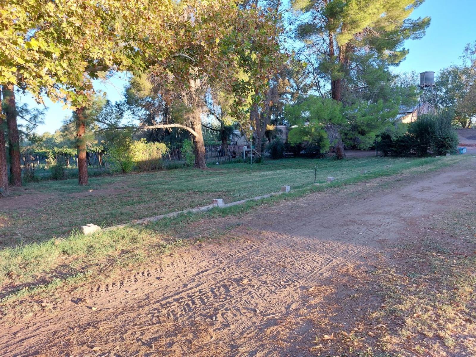 LAS CASUARINAS