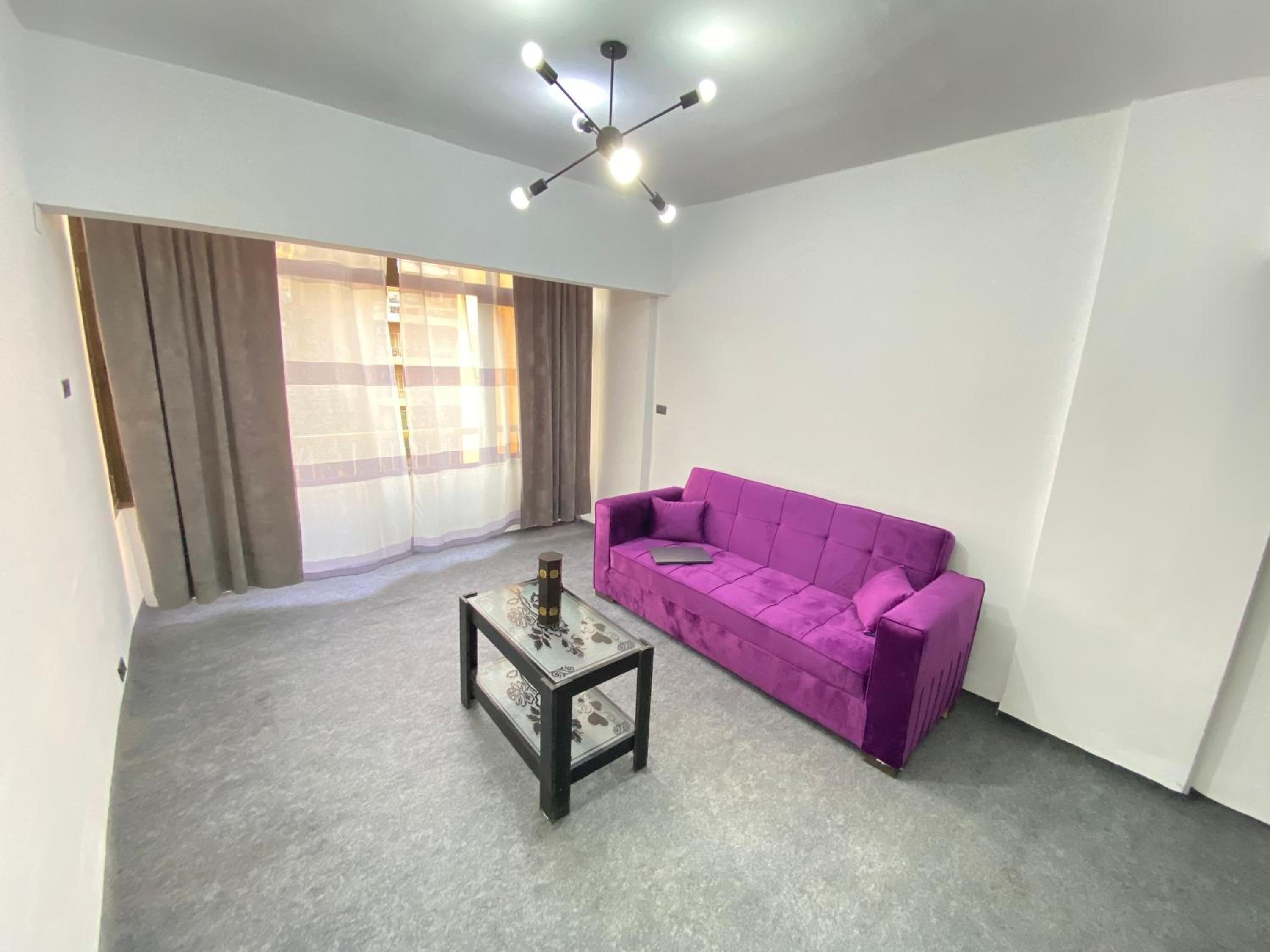 Cozy large apartment with work space