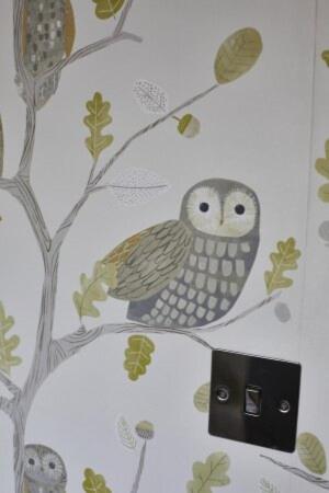 Hoot