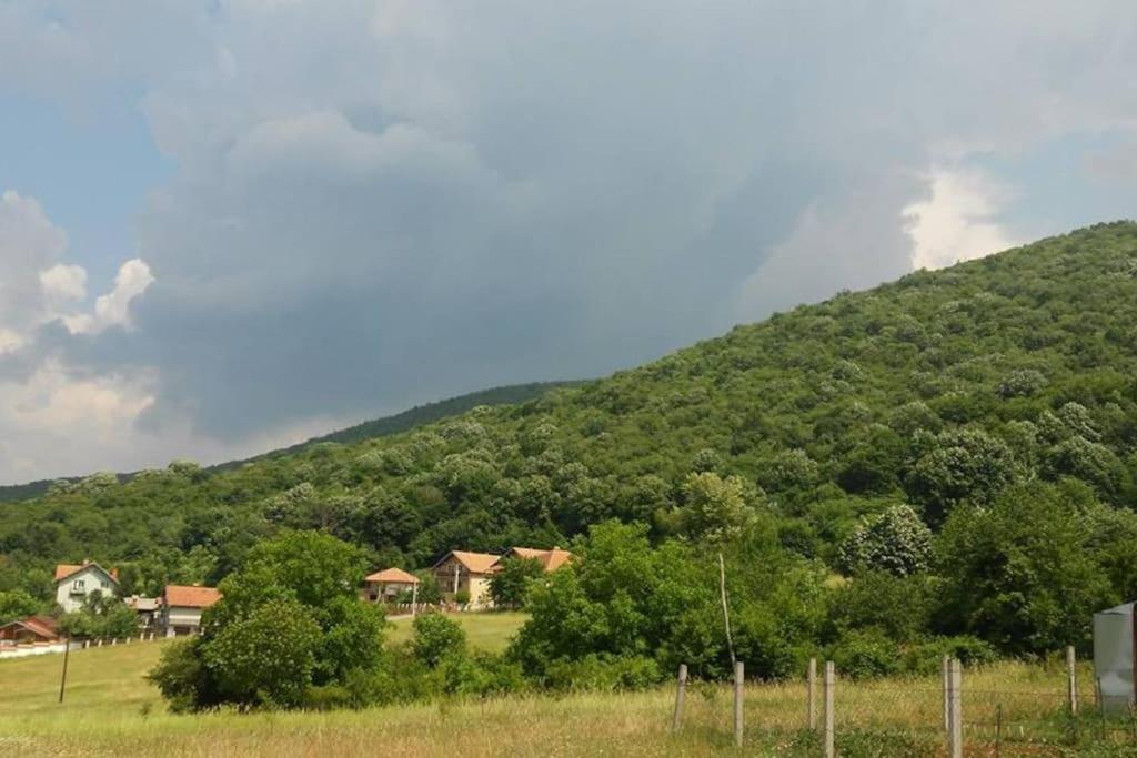 Padine Ozrena view 2