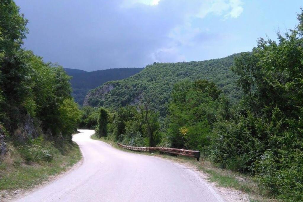 Padine Ozrena view 4