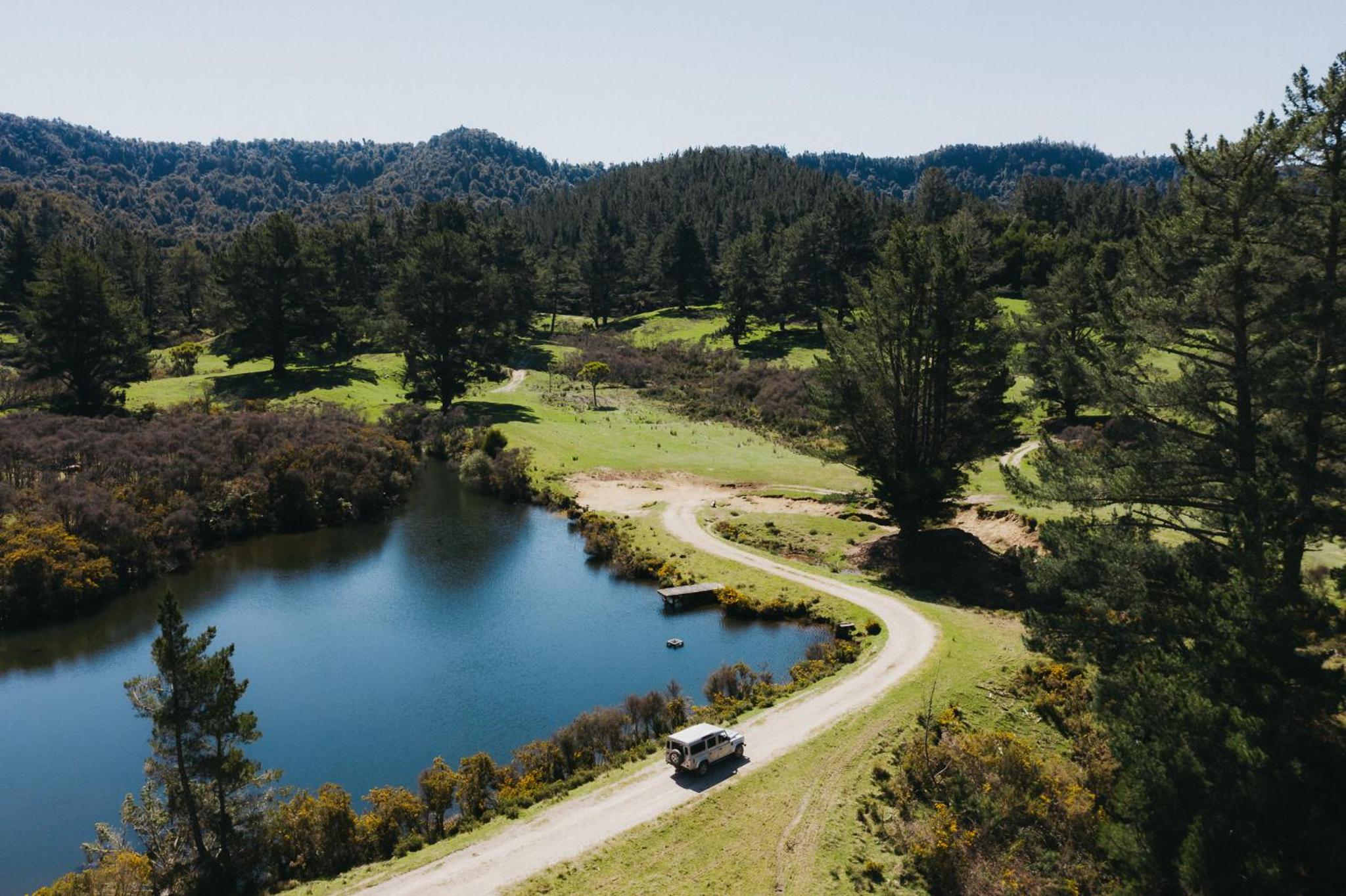 Treetops Lodge & Estate