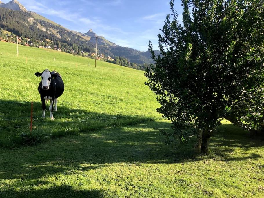 Studio dans un chalet avec jardin privatif