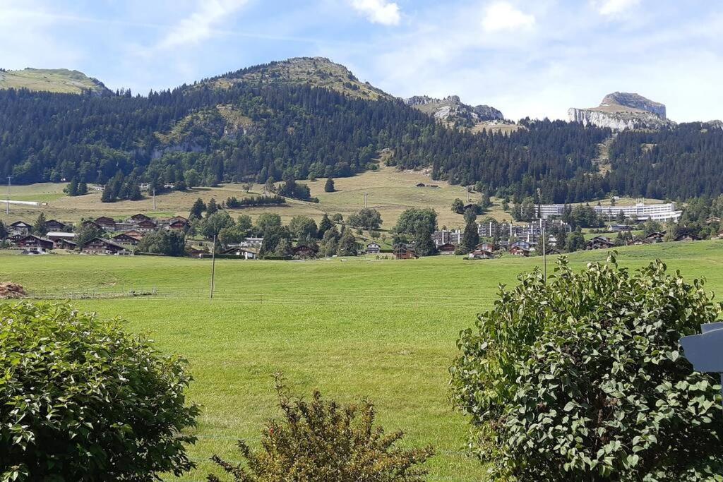 Studio dans un chalet avec jardin privatif