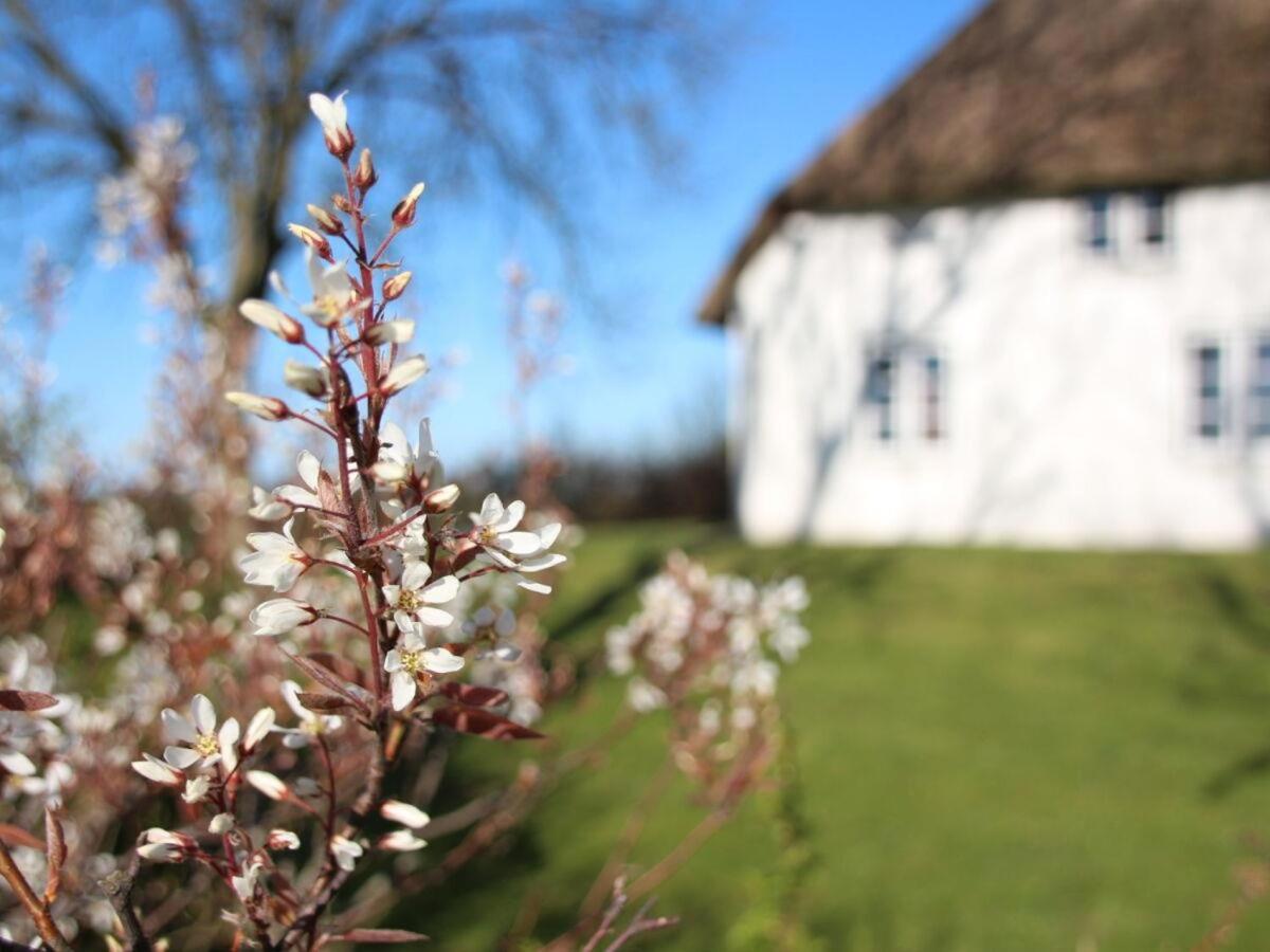 Reetdachhaus-Poppenbüll