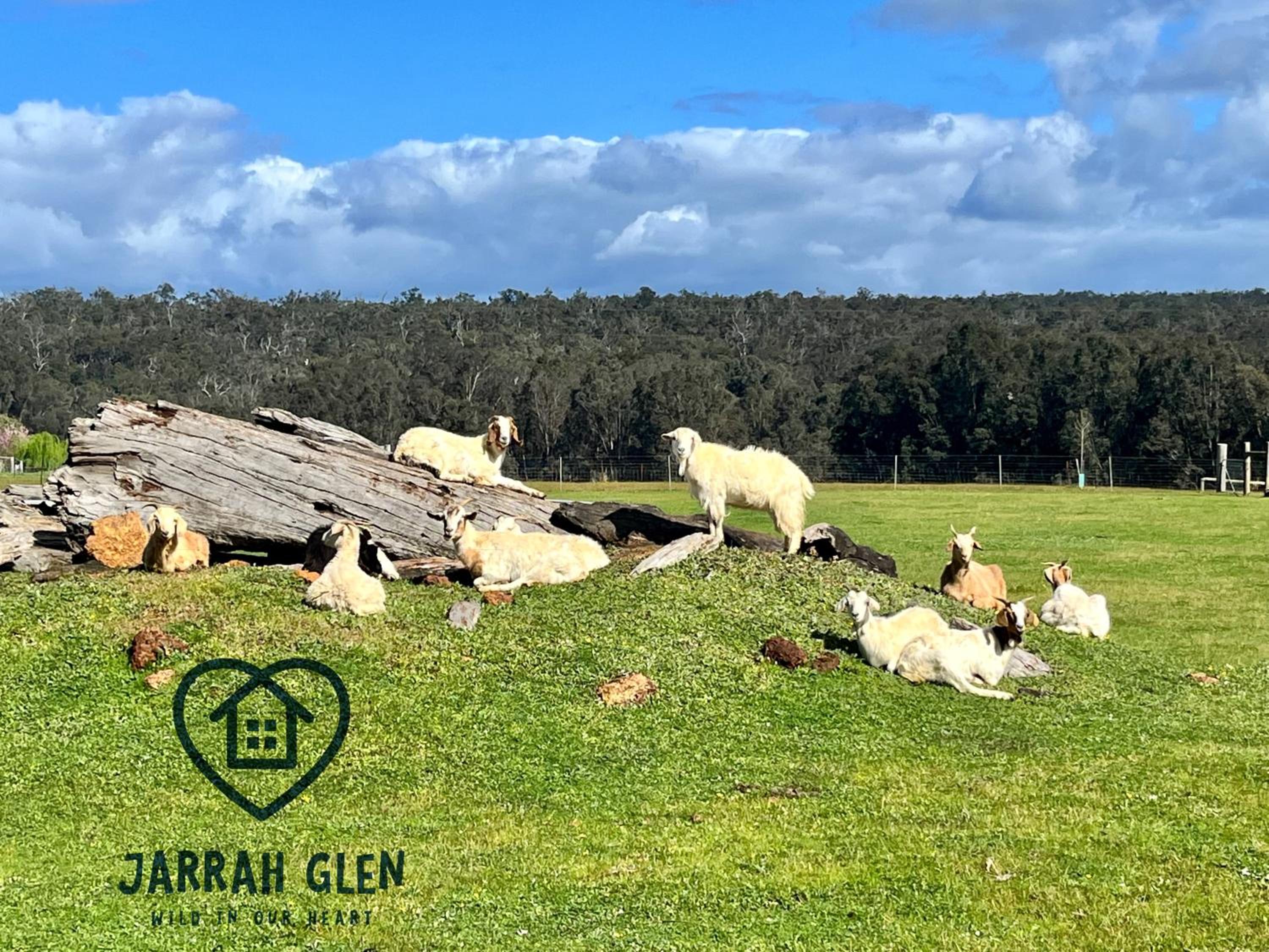 Jarrah Glen Cabins