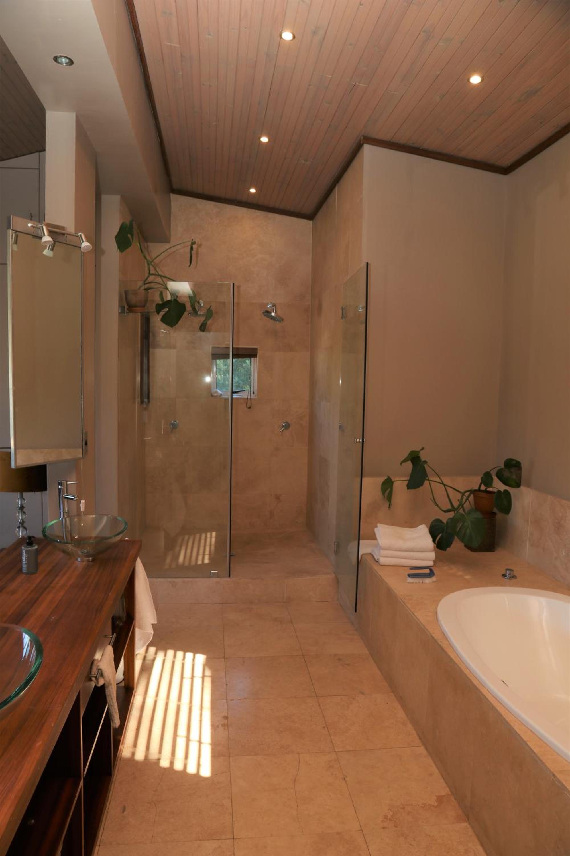 Aloe Suite