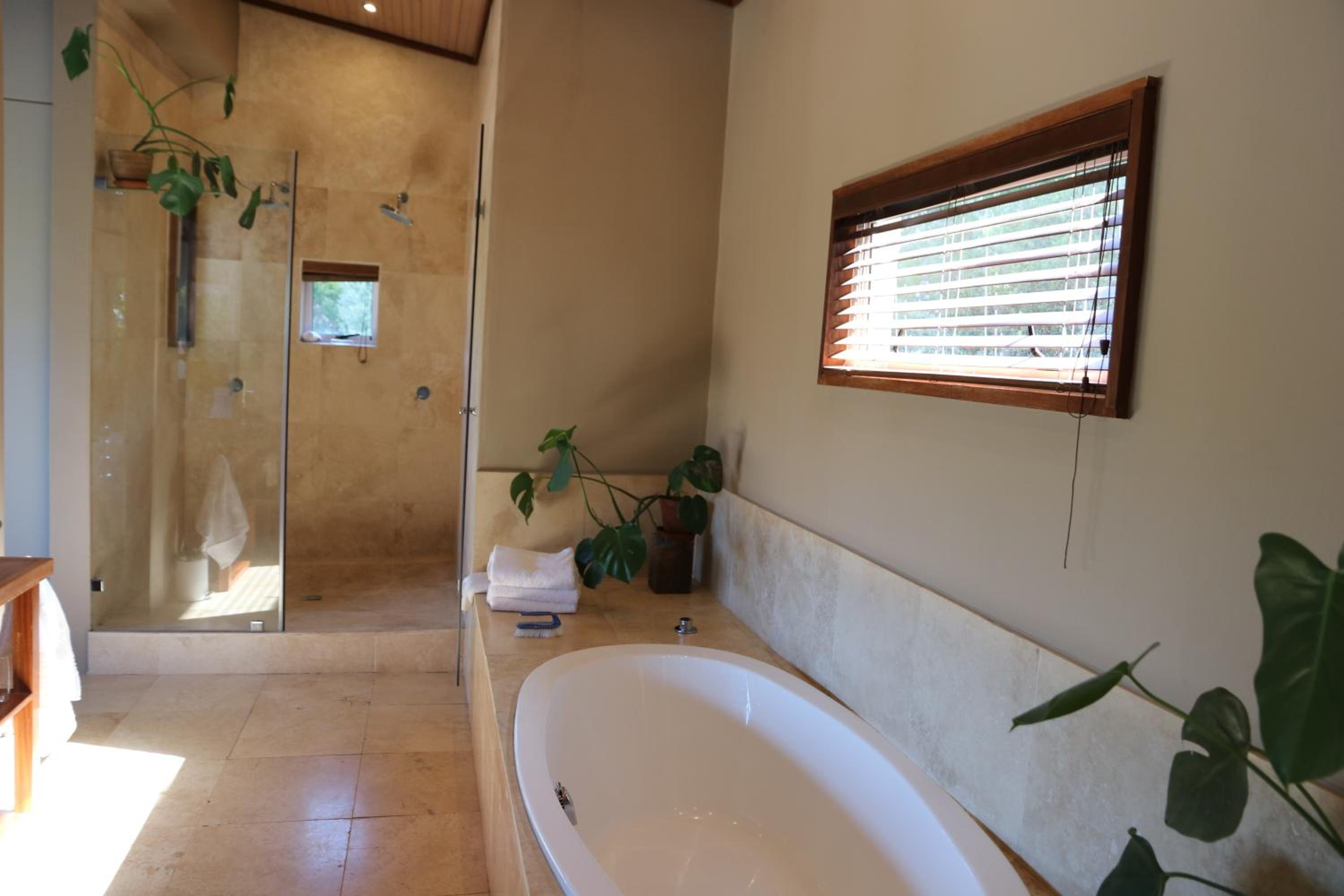 Aloe Suite