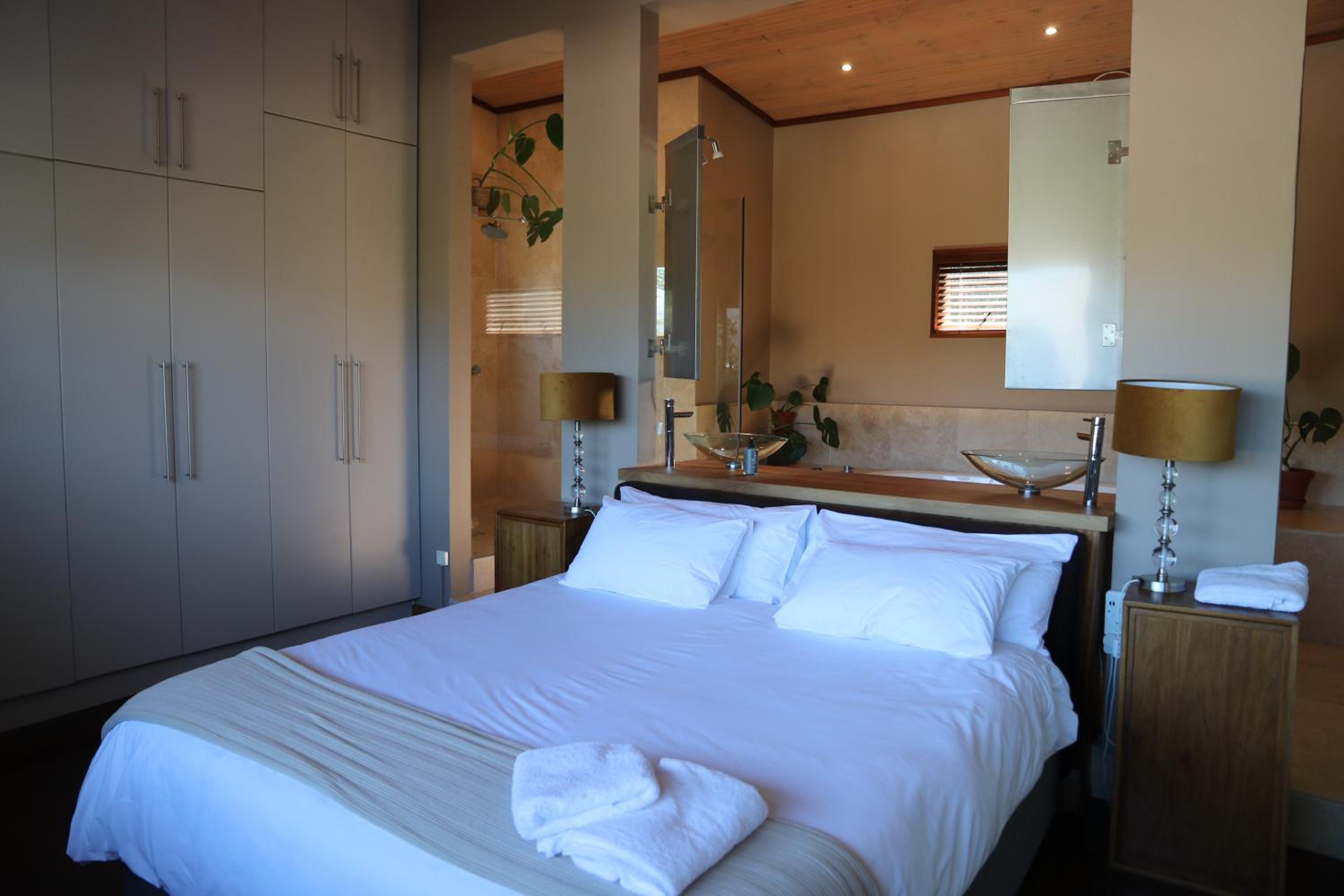 Aloe Suite