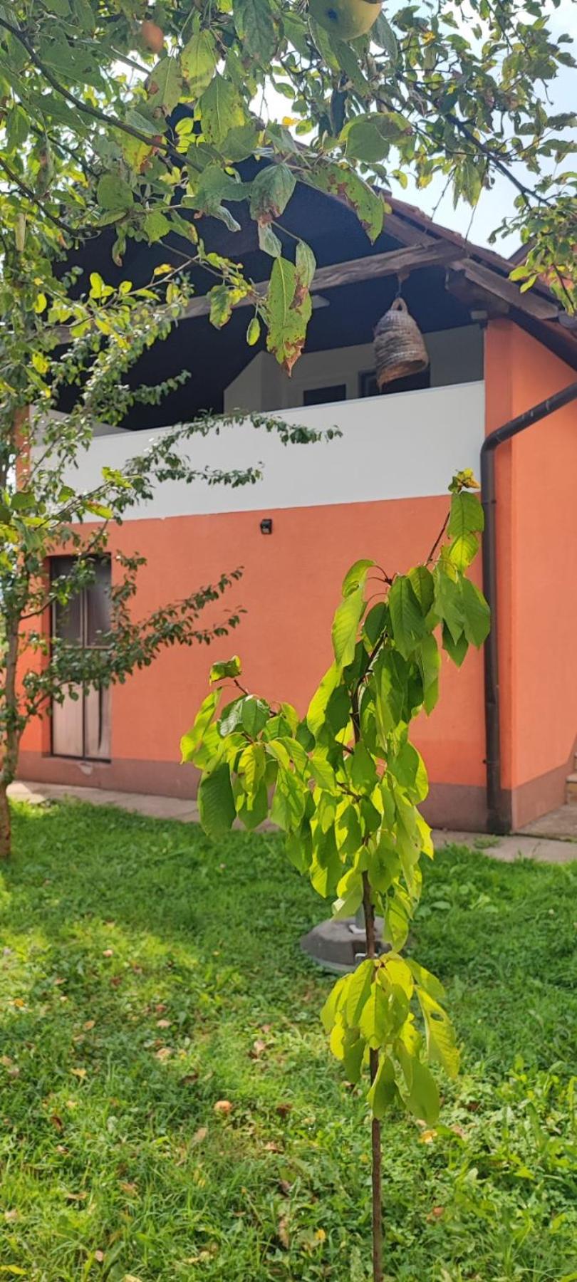 Amar Apartmani,,