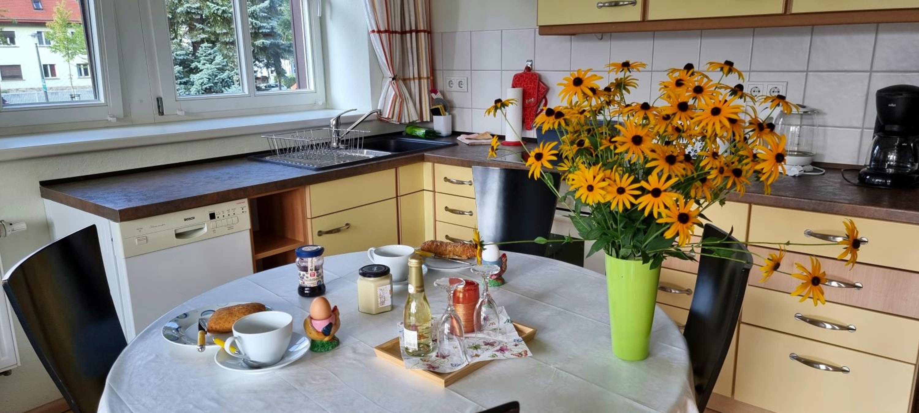 dresdnerferienwohnung - apartment am großen garten view 3