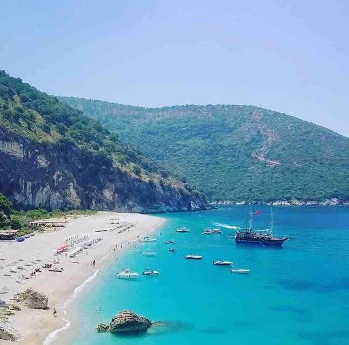 Beachfront Apartment 200m From Port