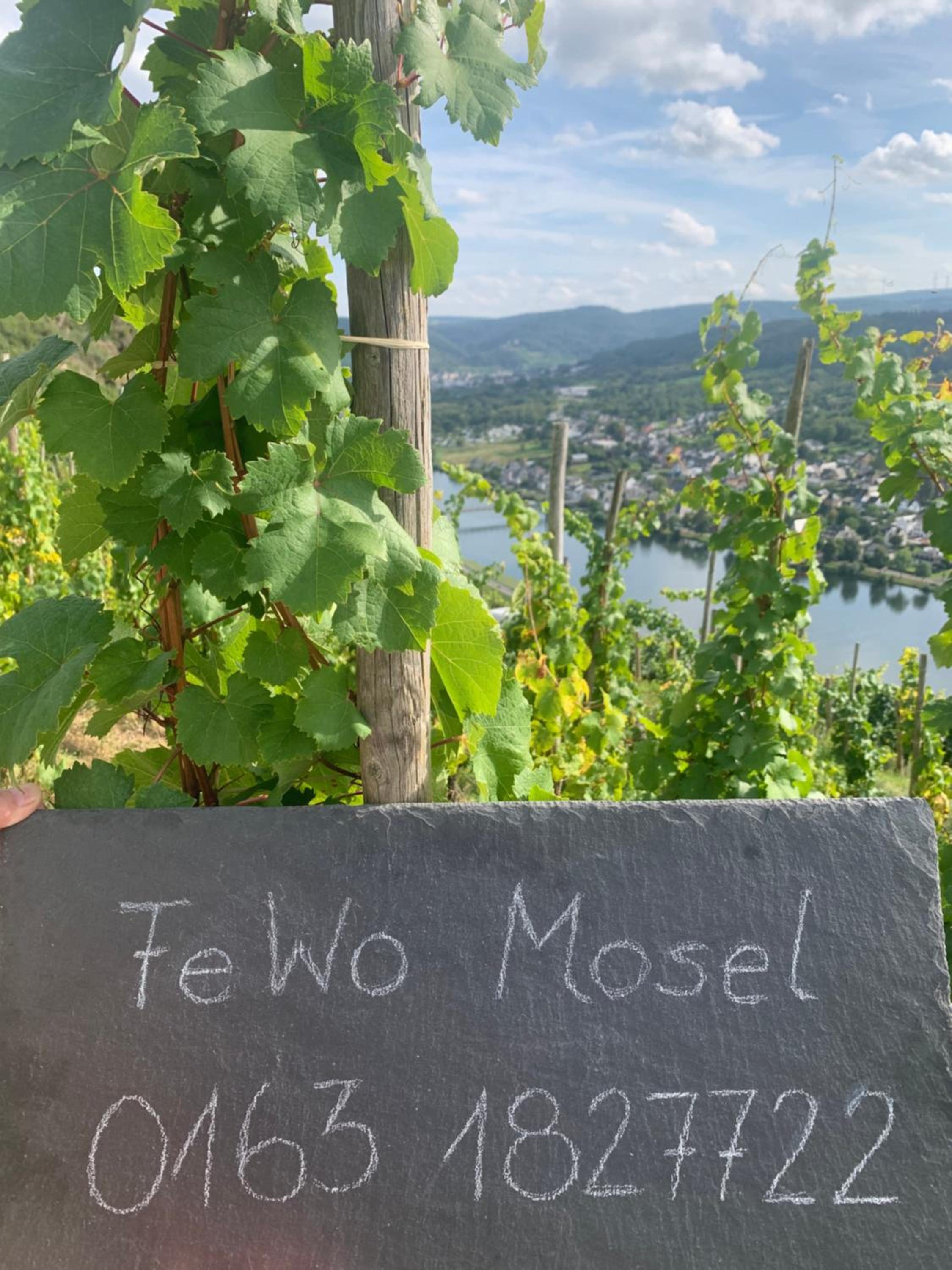 Ferienwohnung Mosel