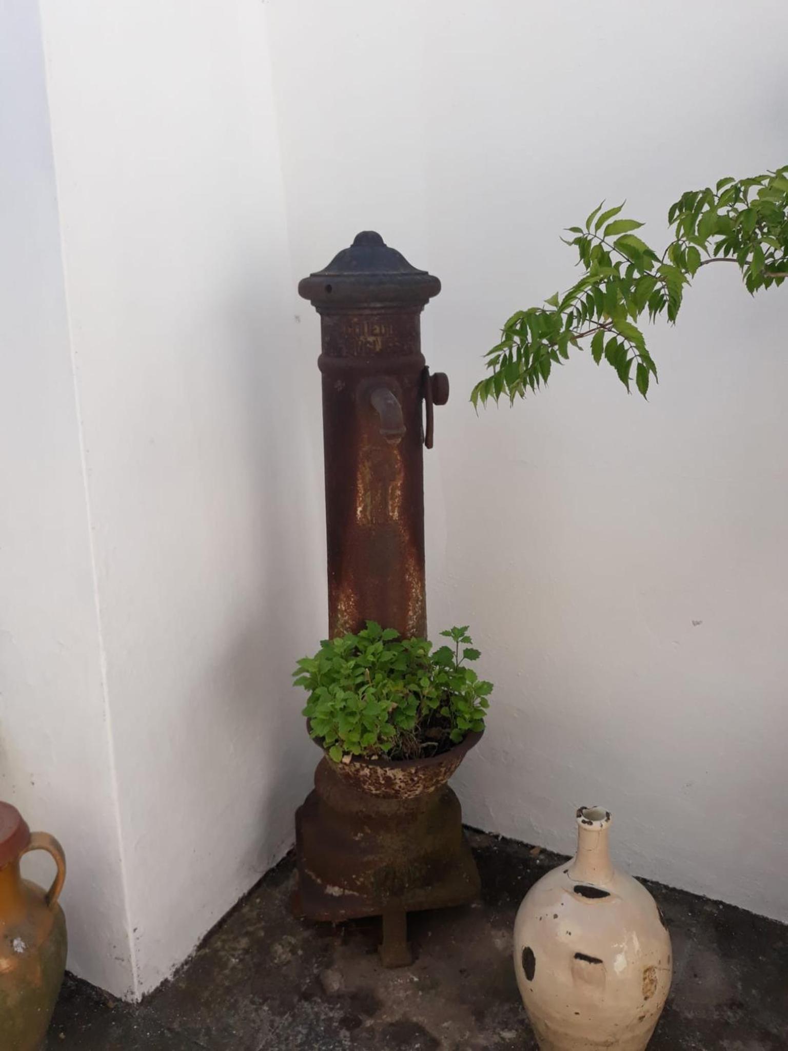 Photo 25