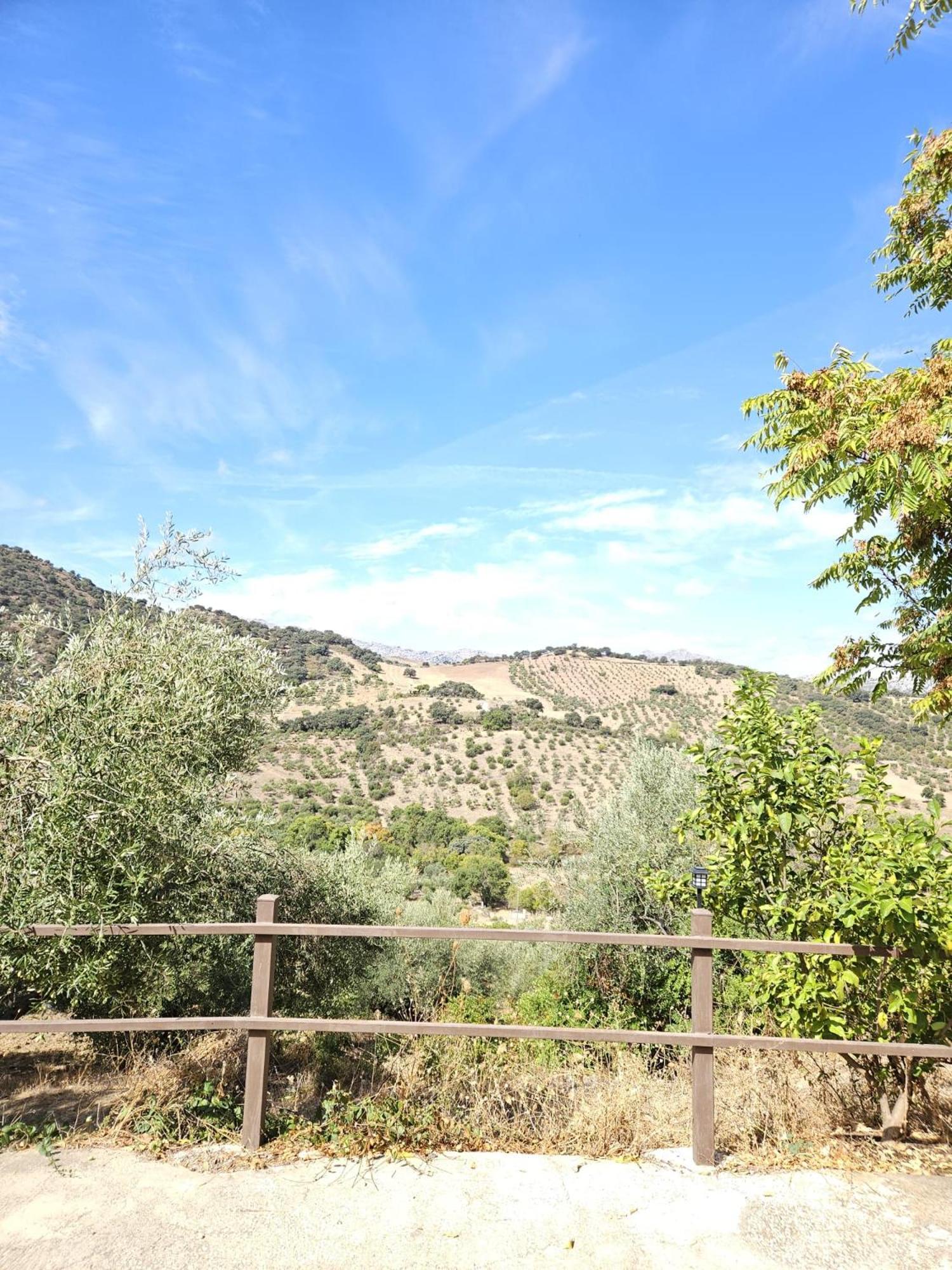 La casita de madera Sijuela