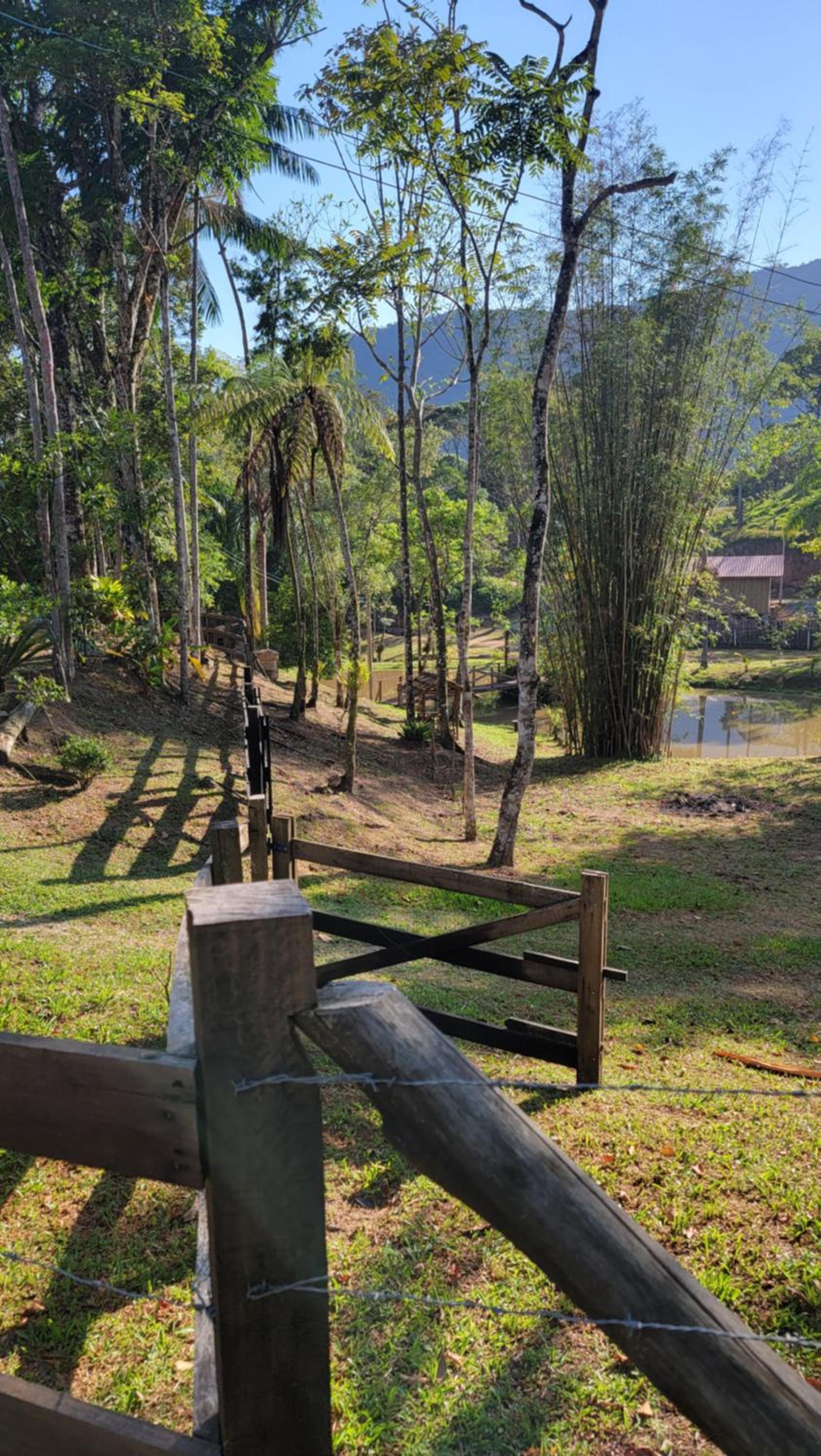 Bulegreen Cabanas
