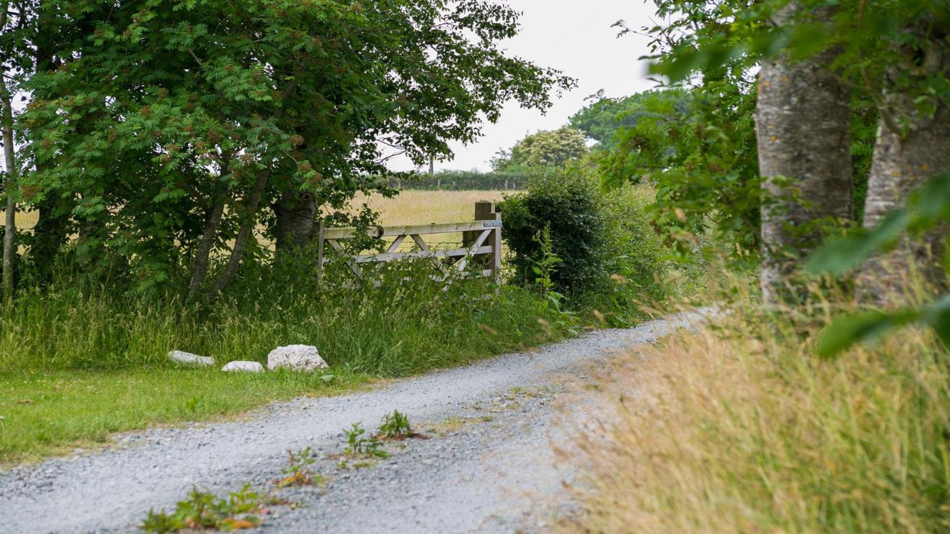Brithdir Mawr