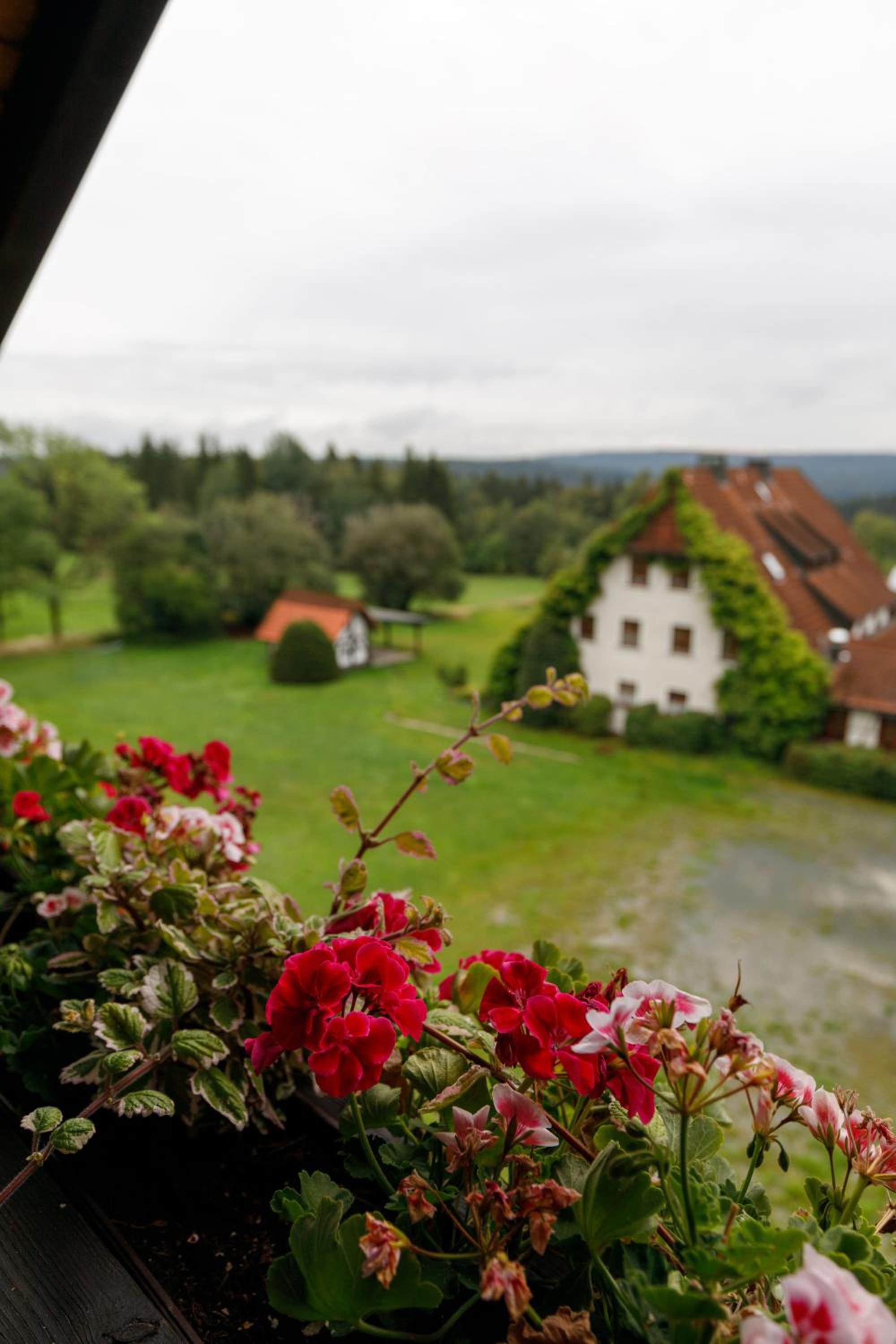 Gasthof Pension Sonneneck