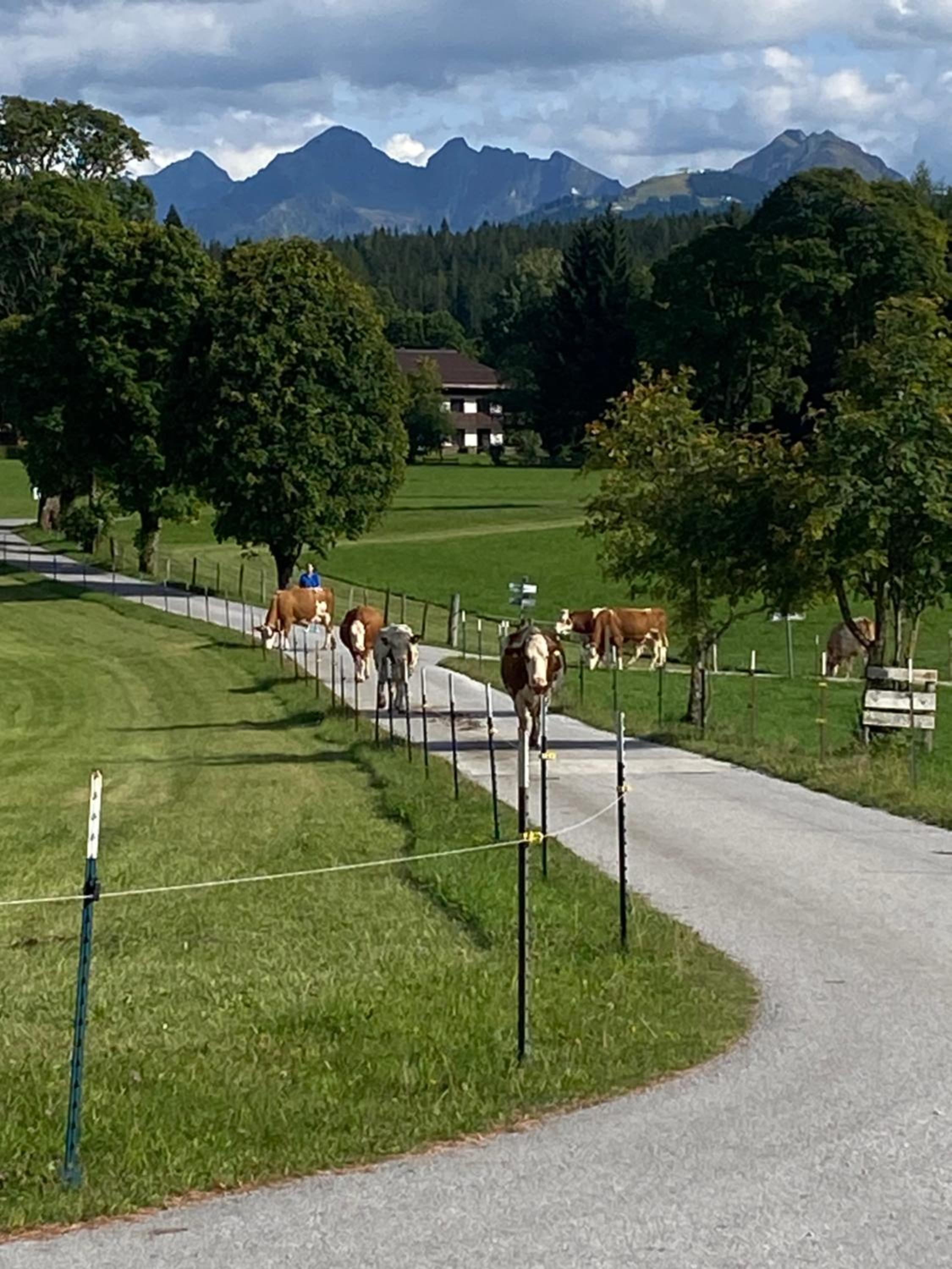 Bauernhof Helpferer