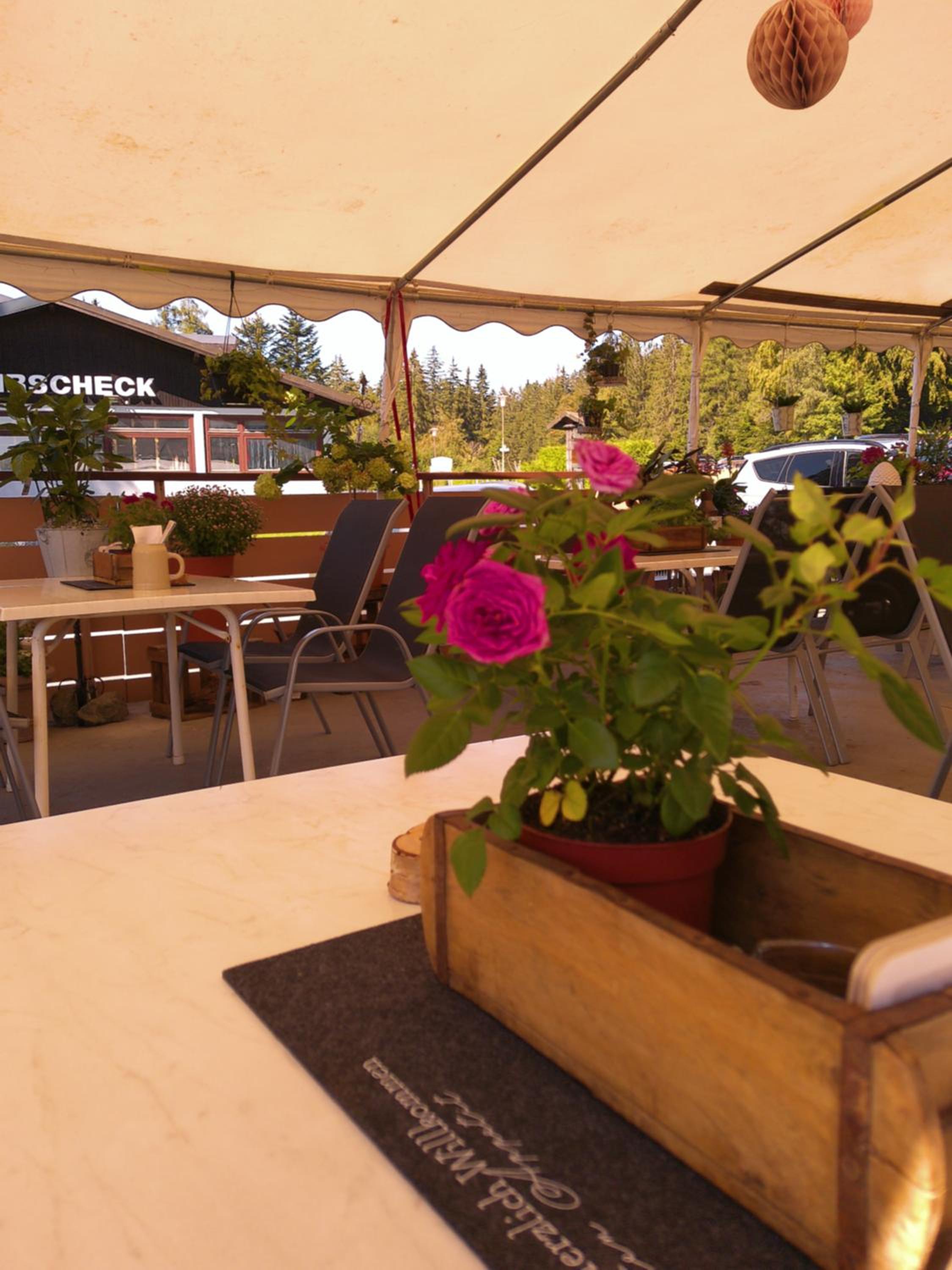 Gasthof Pension Sonneneck