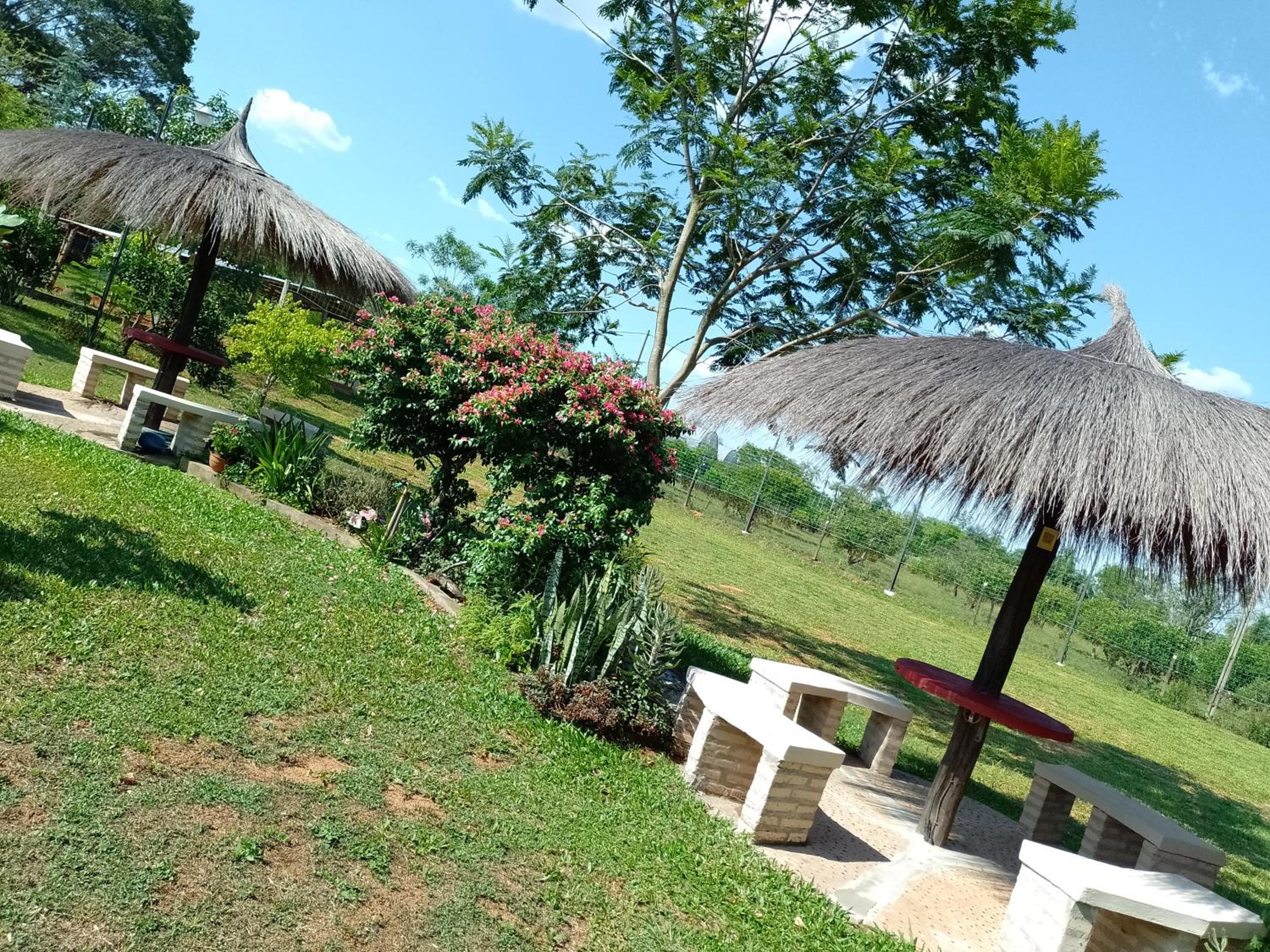Mi Refugio La Herencia view 4