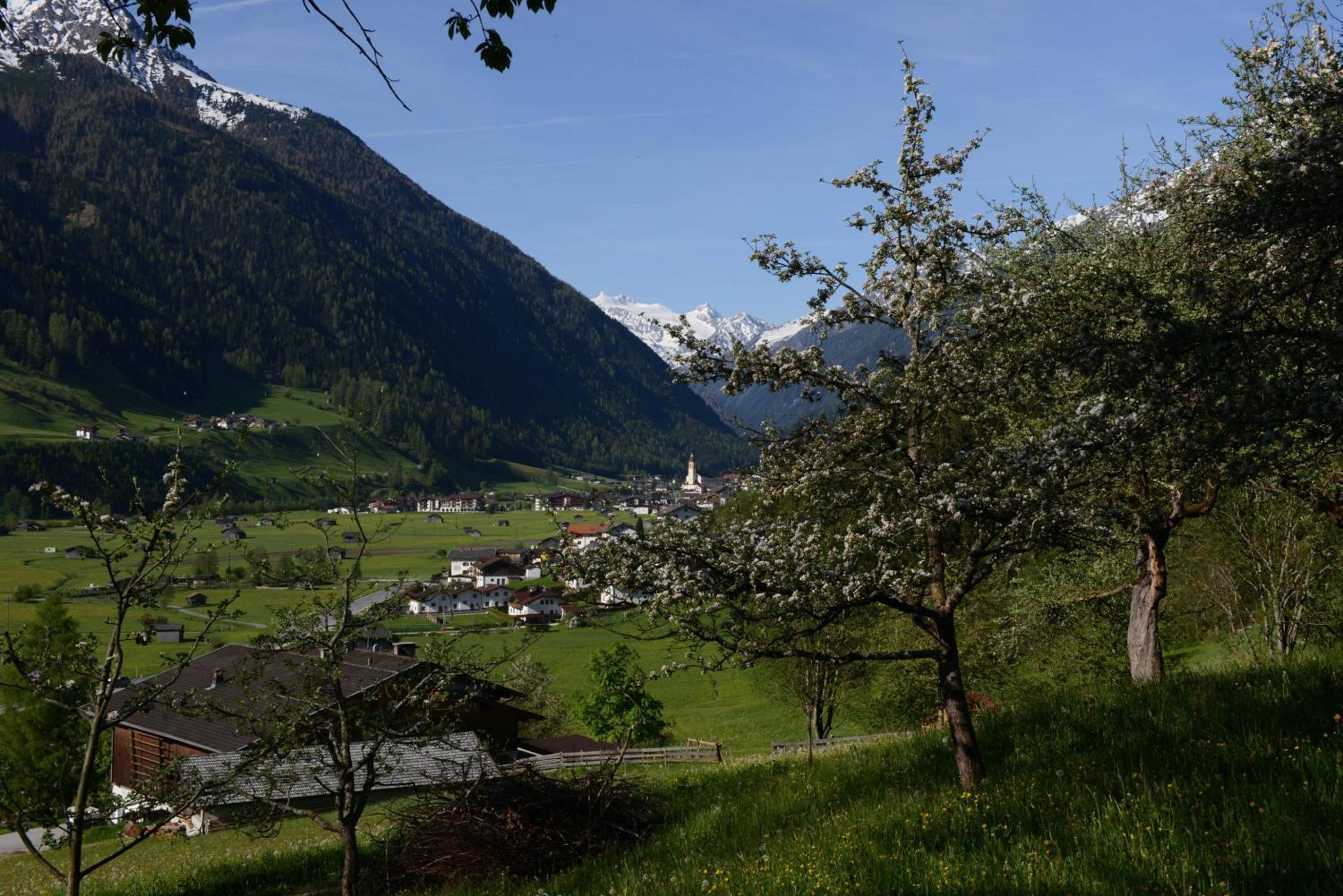 Haus Elisabeth