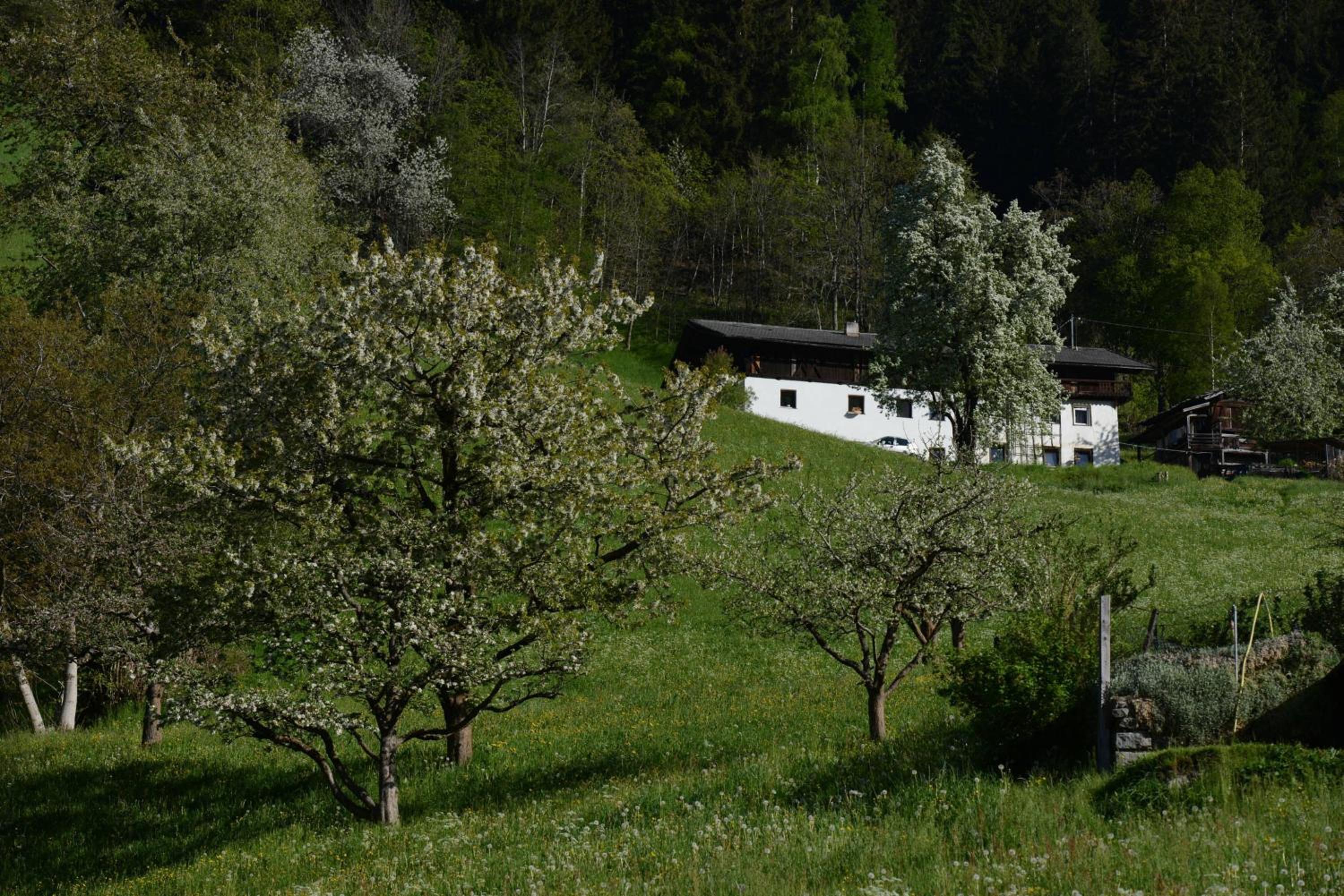 Haus Elisabeth