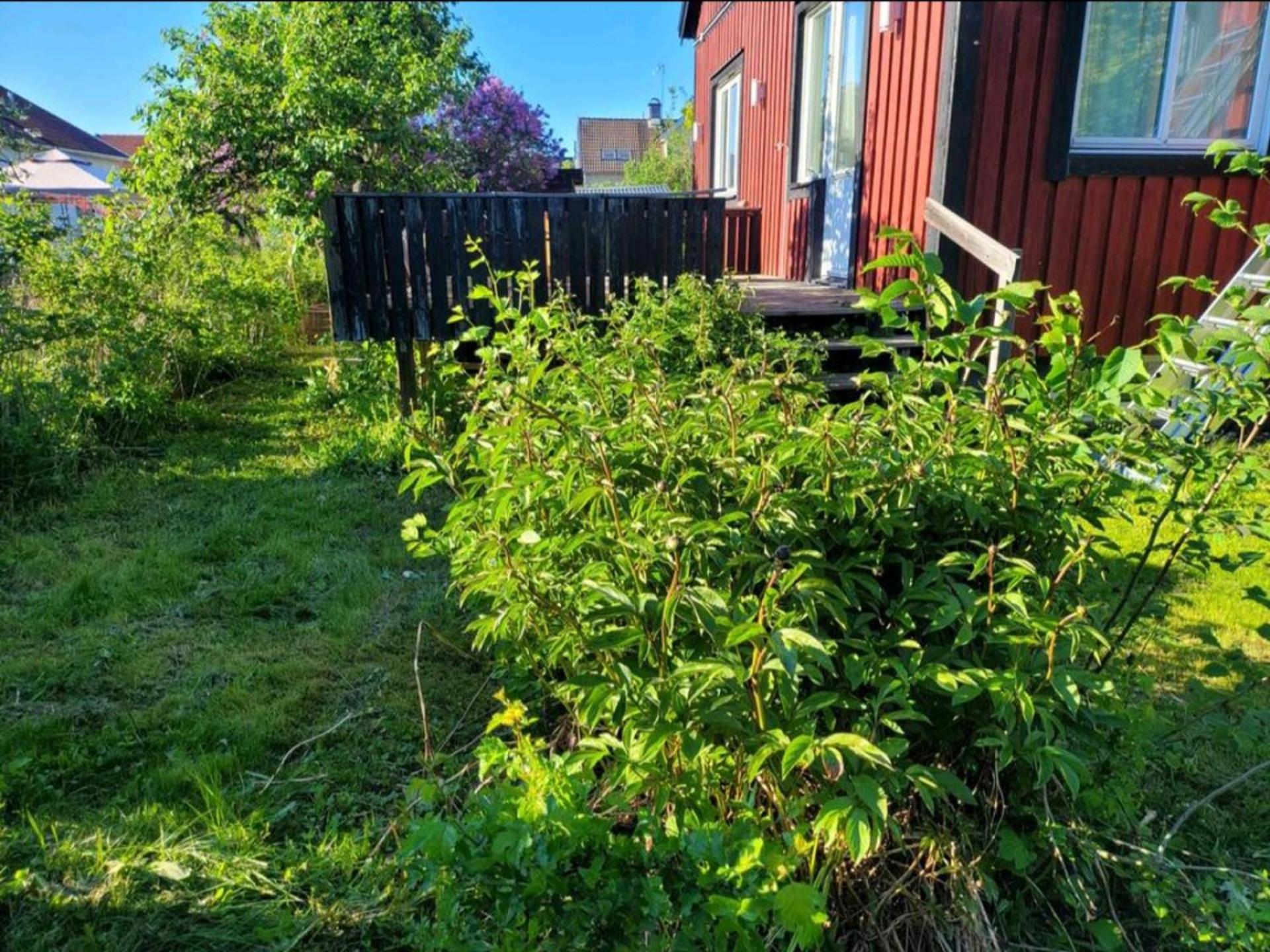 Photo 18