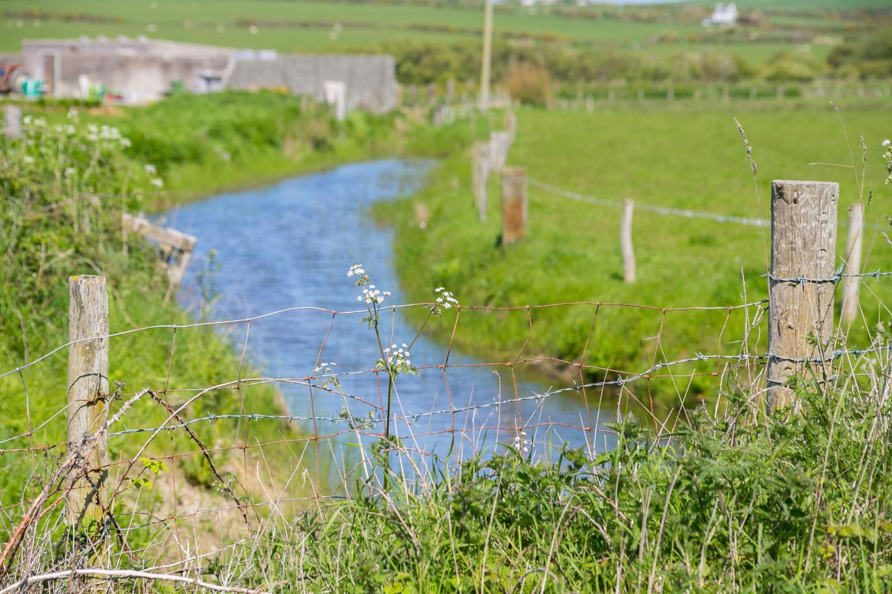 Photo 44