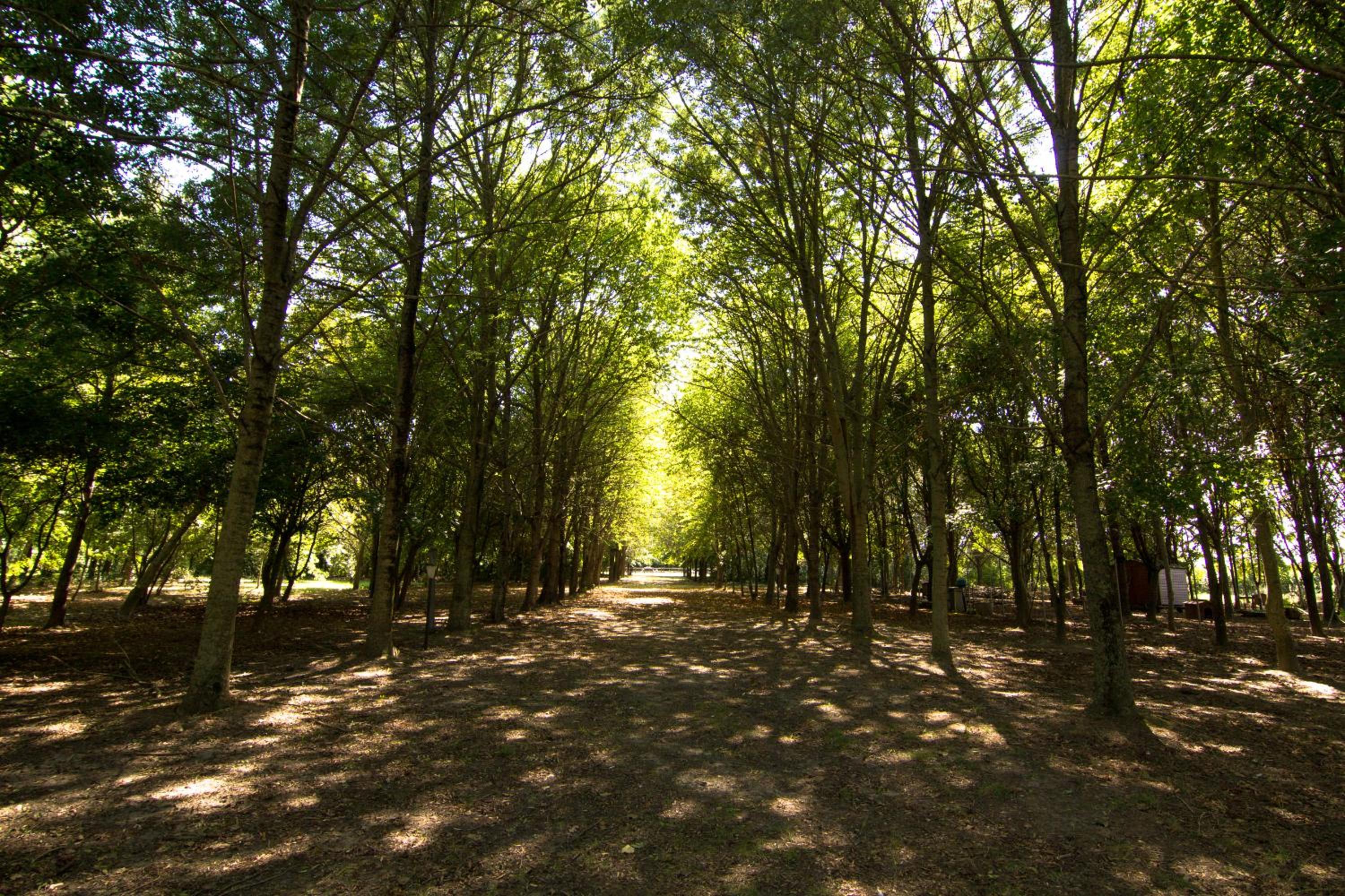 Photo 41