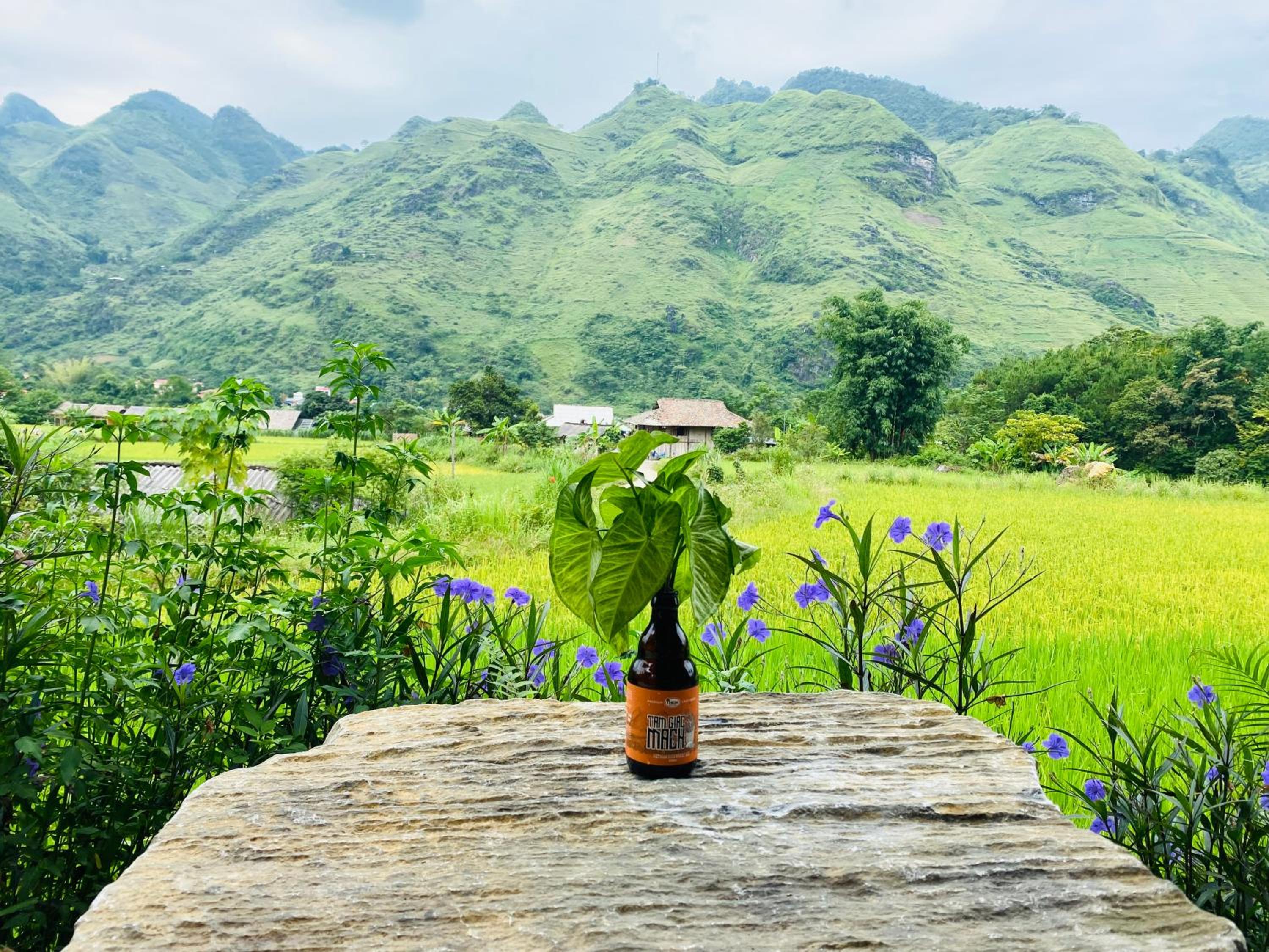 Du Gia Field View Homestay