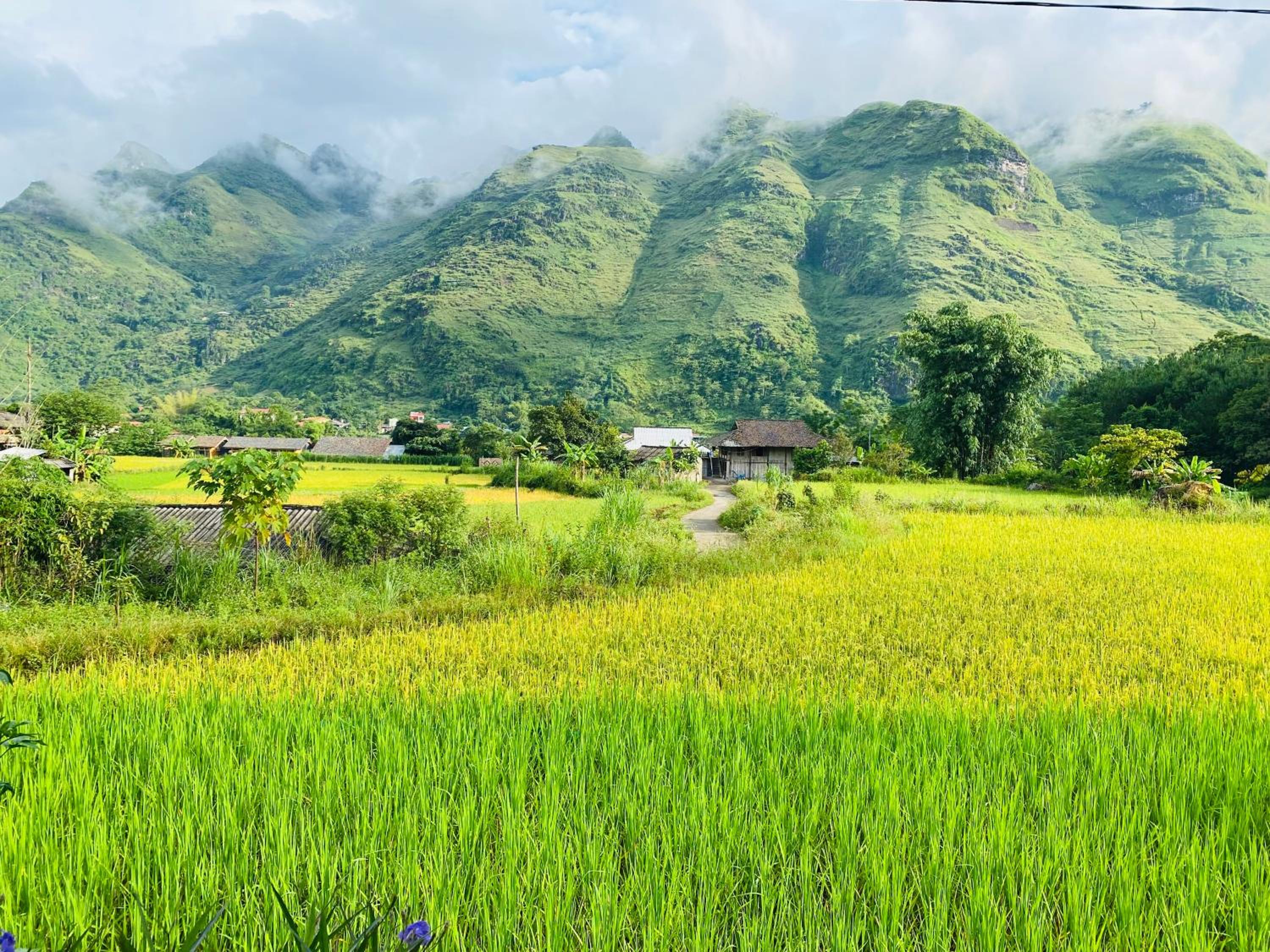 Du Gia Field View Homestay