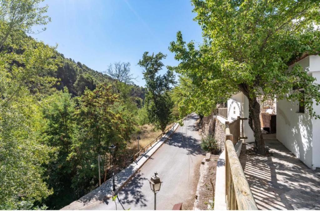 Molino del Nacimiento