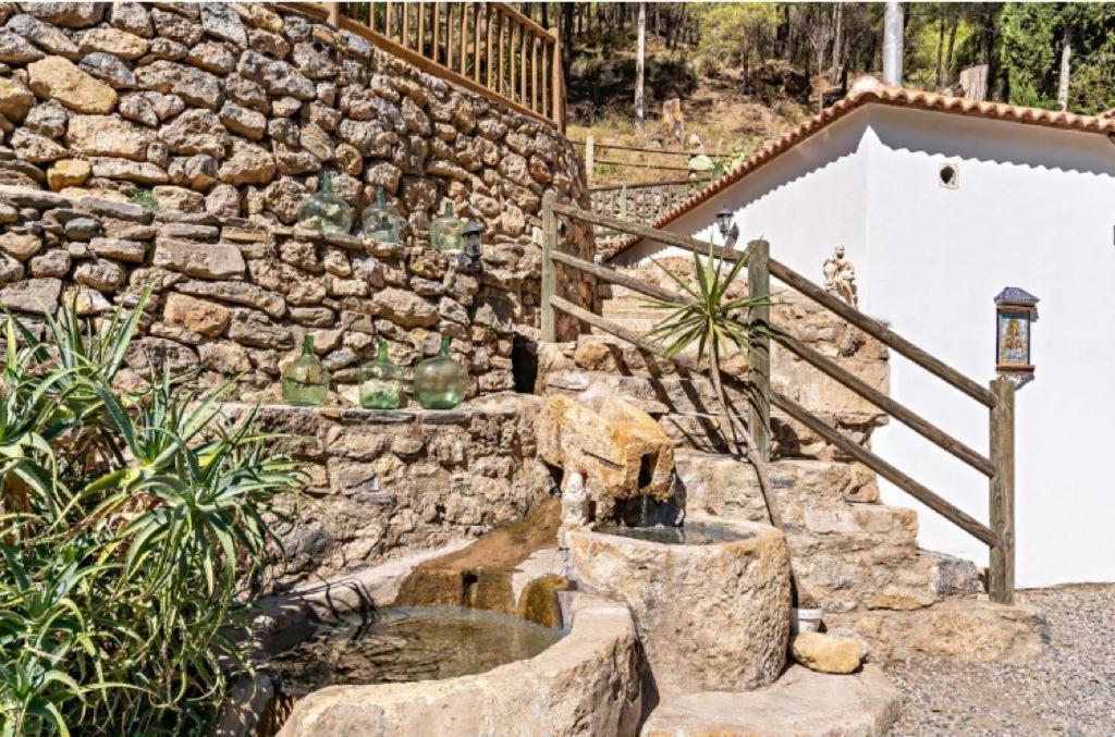 Molino del Nacimiento