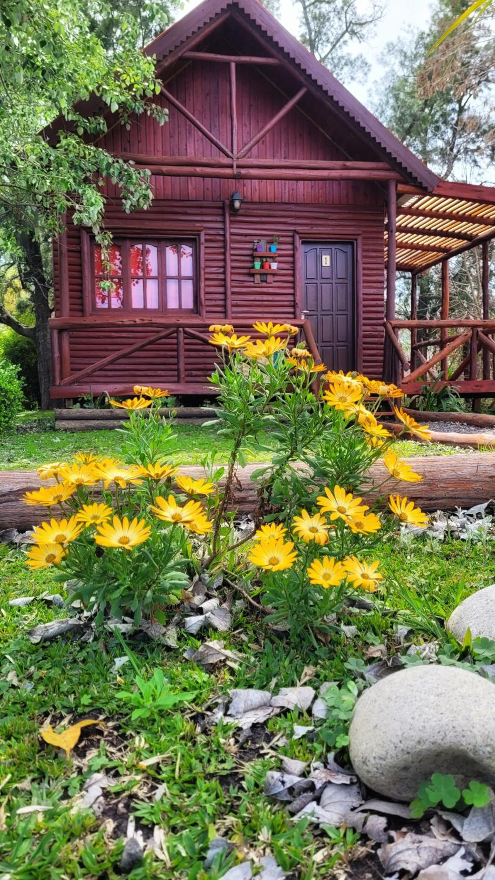 Cabañas Pulmahue