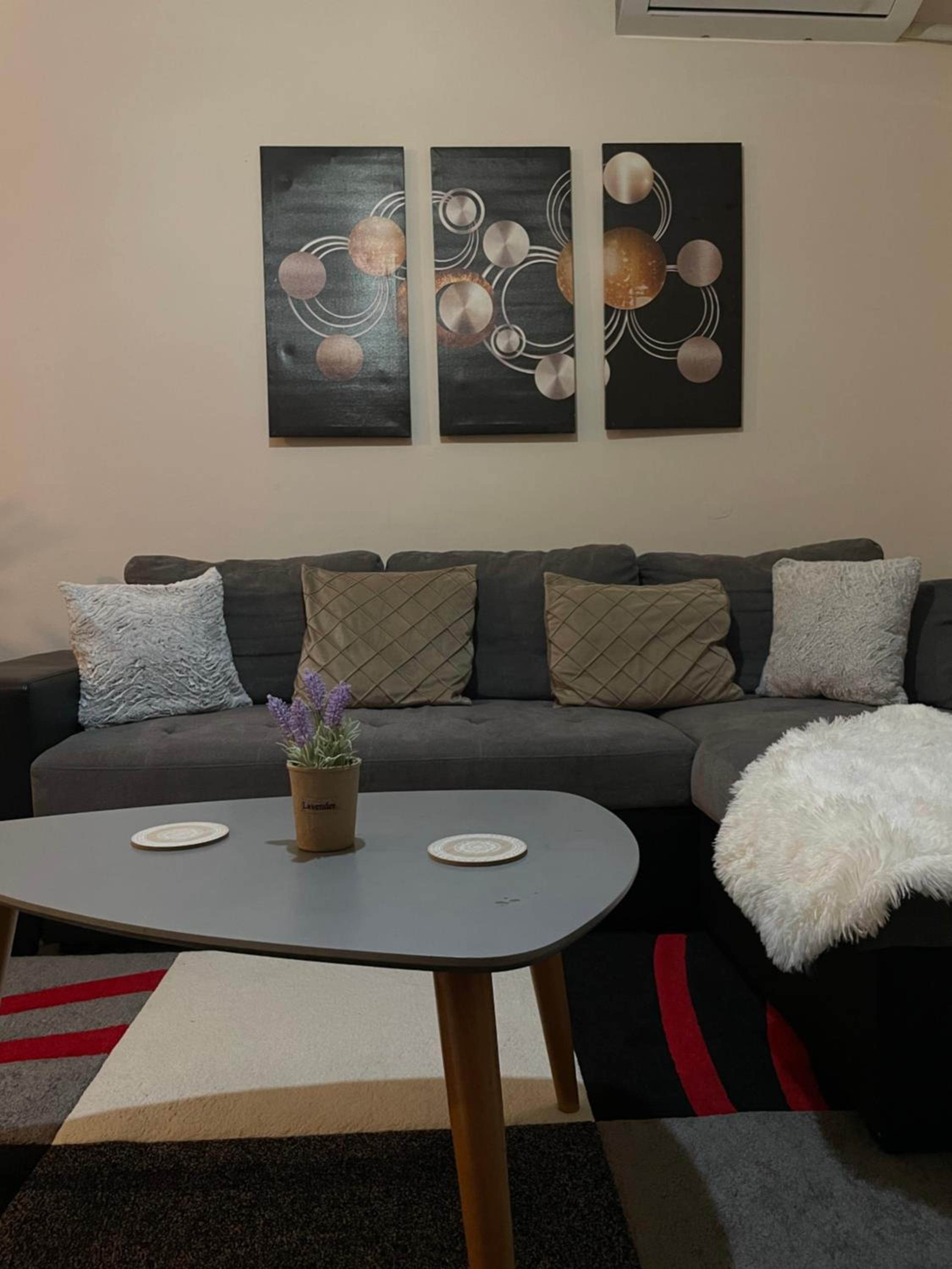 Center city luxury apartment