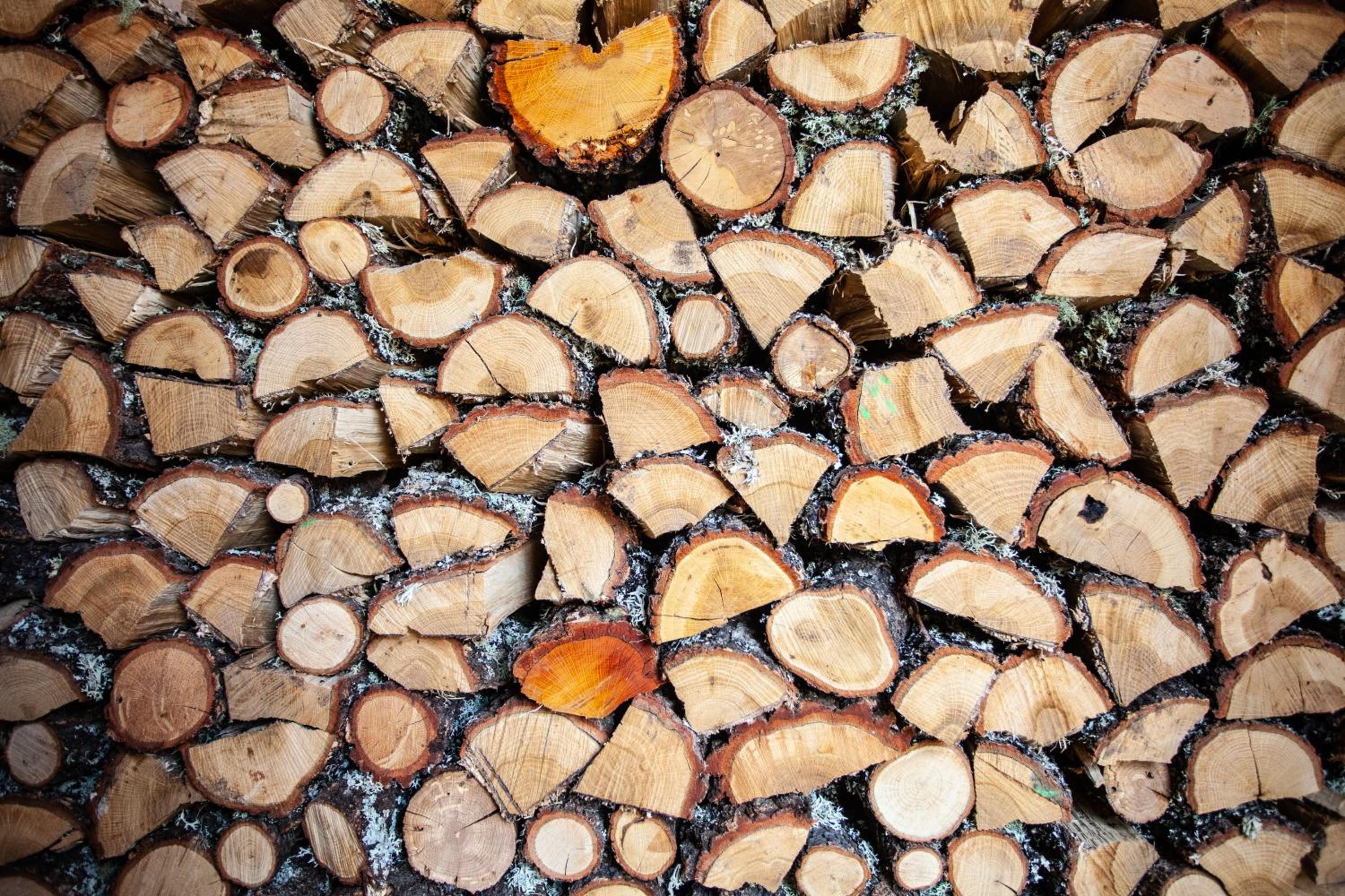 CASA COLOMBA photo 3