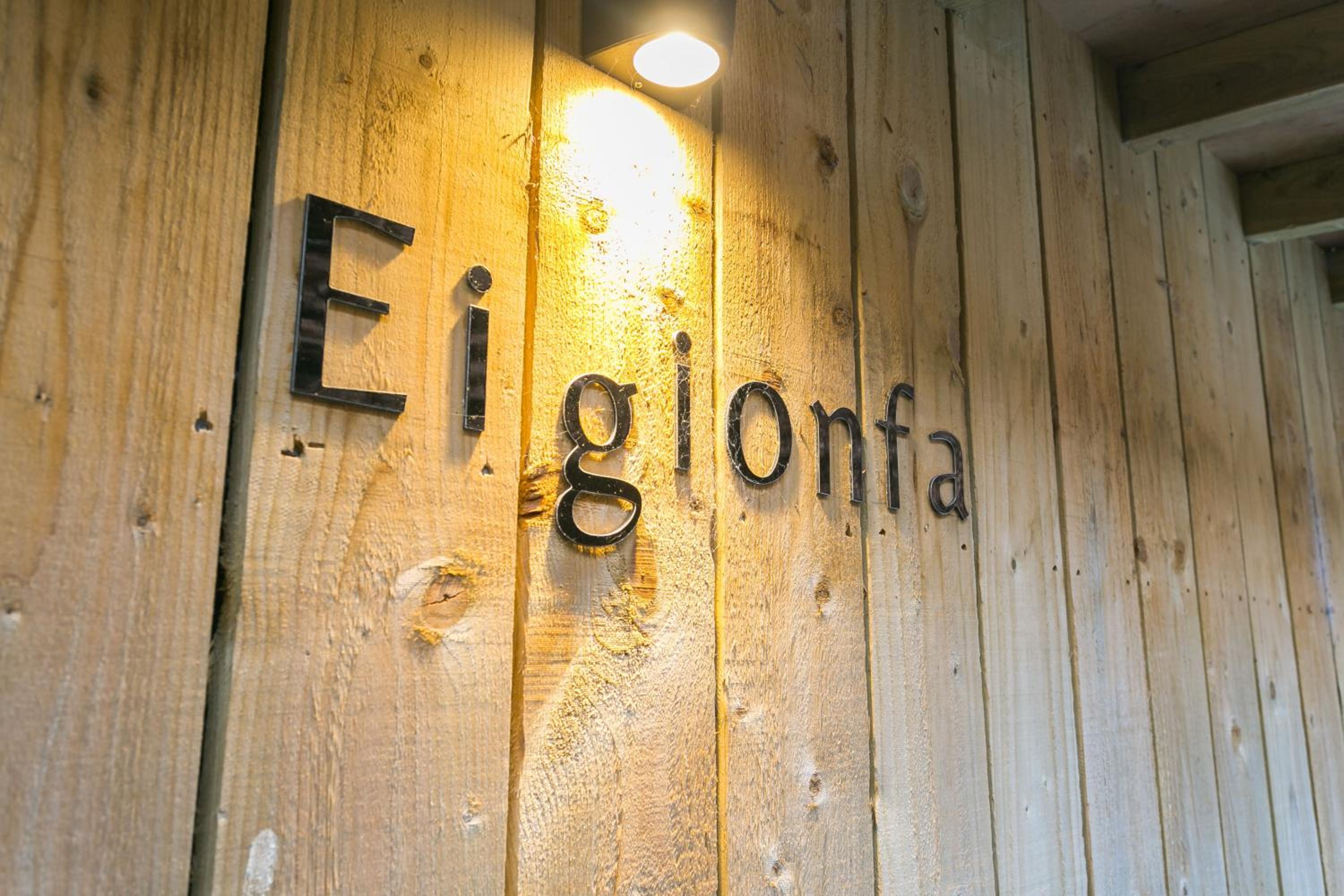Eigionfa