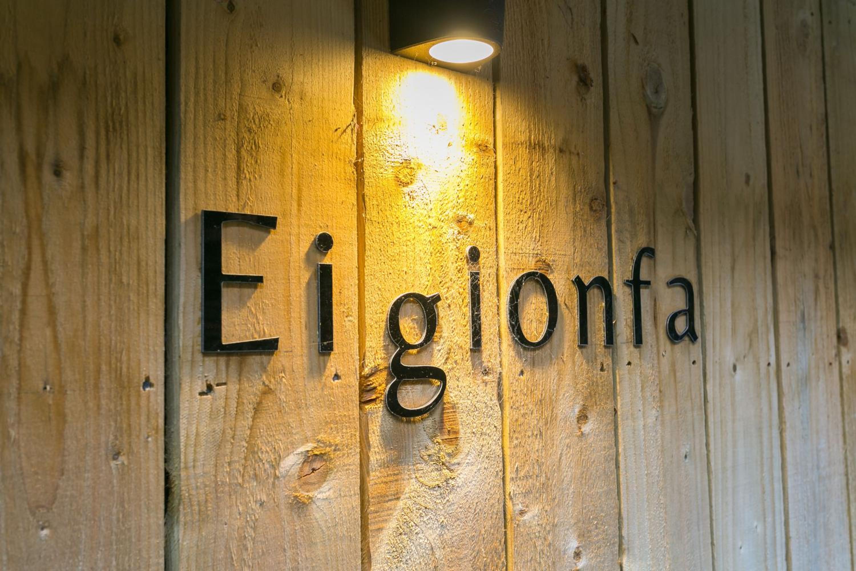 Eigionfa