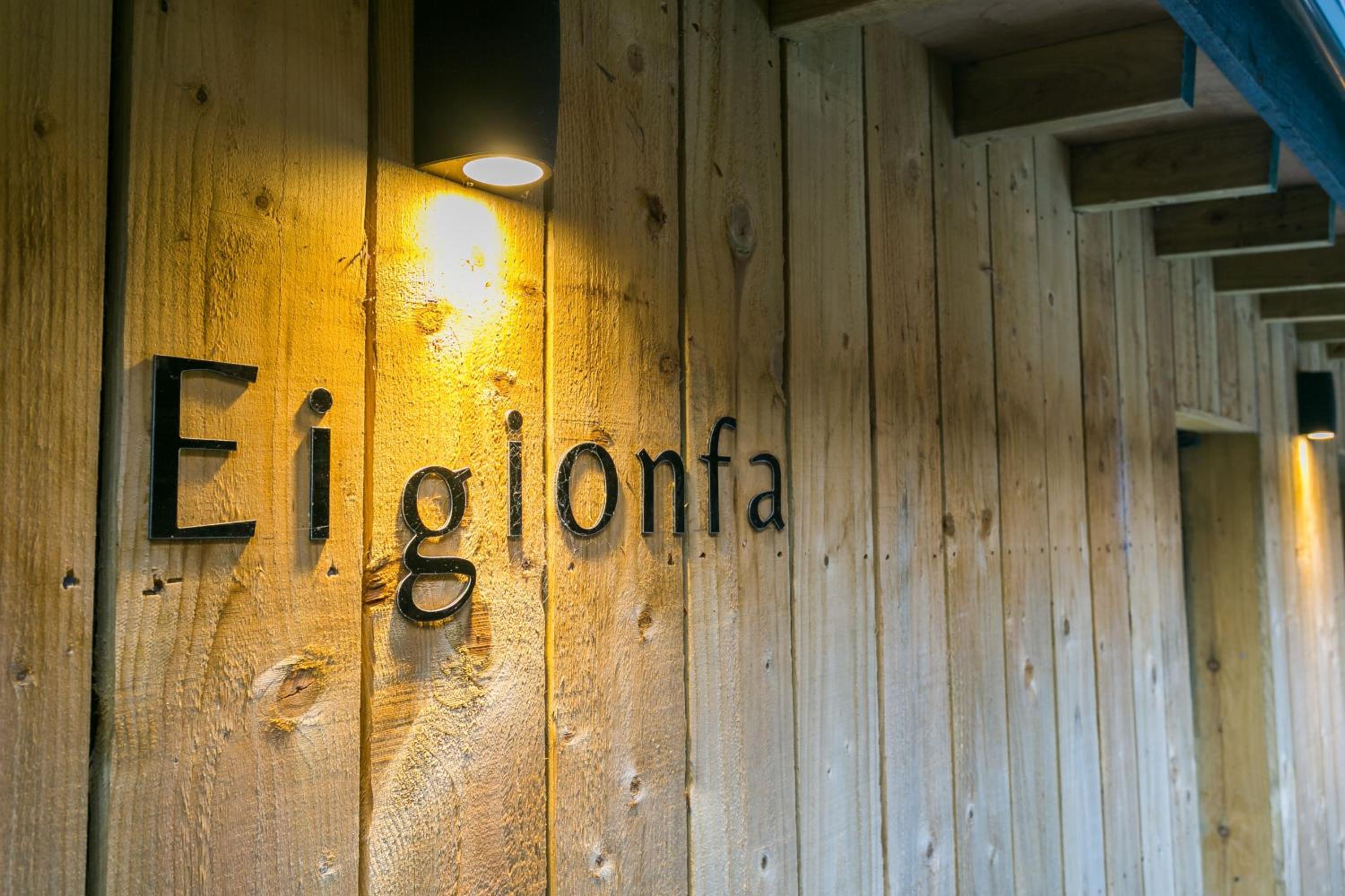 Eigionfa